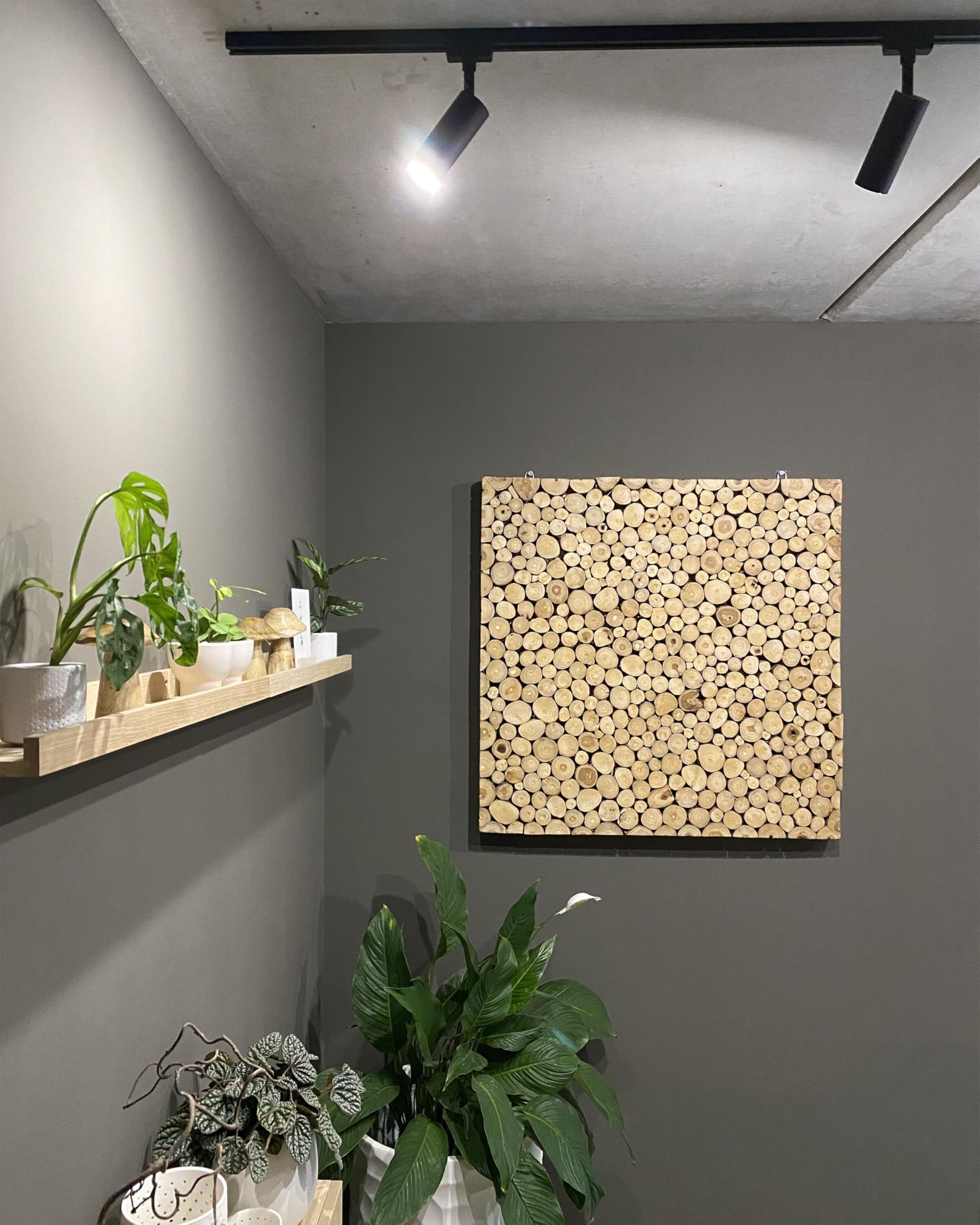 Stilvolle Wanddekoration Natur-Motiv Teakholz hellbraun 85 x 85 cm Twig