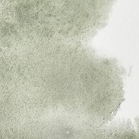 Vista 399 de Winsor & Newton - Pintura para acuarela profesional