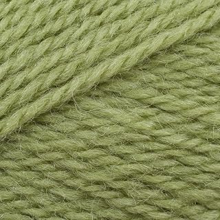 Stylecraft Life DK - Fern (2311)