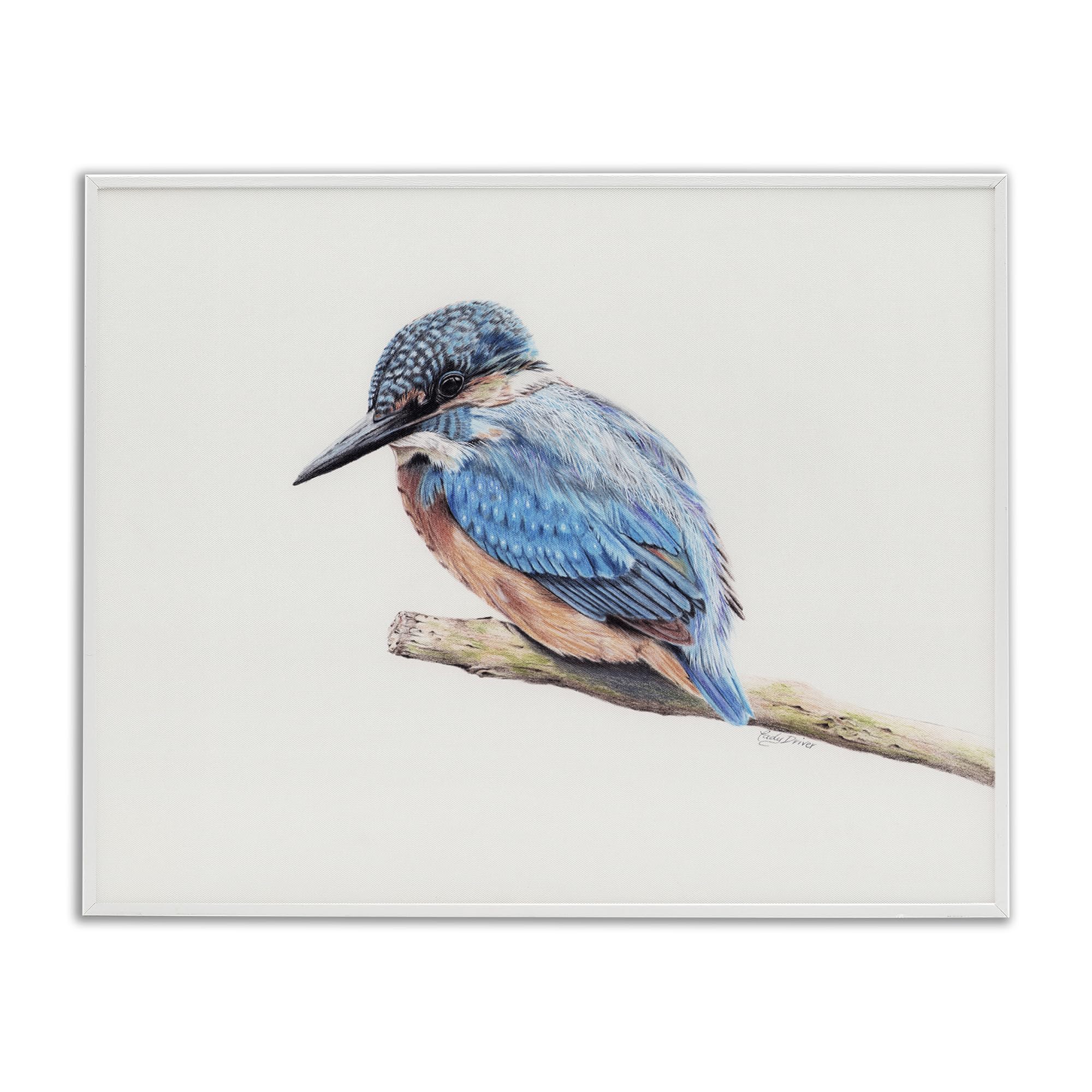Stupell Industries Vibrant Kingfisher on Branch White Framed Giclee Art, design by Cady Driver, 16 x 20