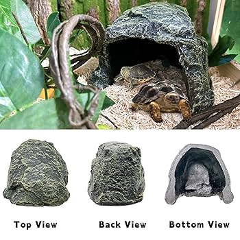 HIDEOUT DAC National Geographic おまけ付 Amazon.com : BNOSDM Reptile Hideout,Large Tortoise Hide Cave