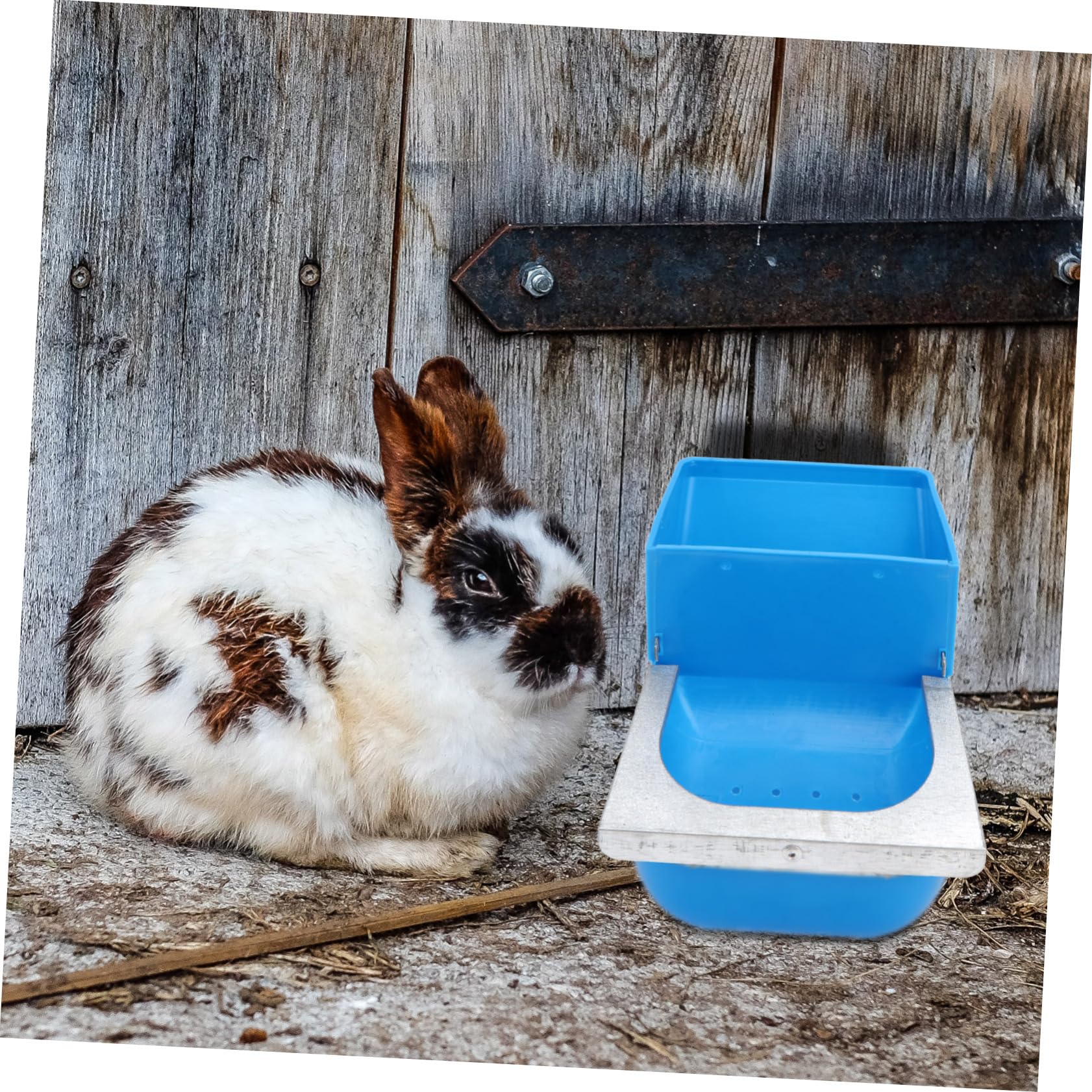VANZACK 6pezzi Mangiatoia Per Pollame Per Alimentazione Animali Domestici Capacità Colore Casual Facile Da Pulire e Appendere Accessorio Per Allevamento Pollame e Conigli