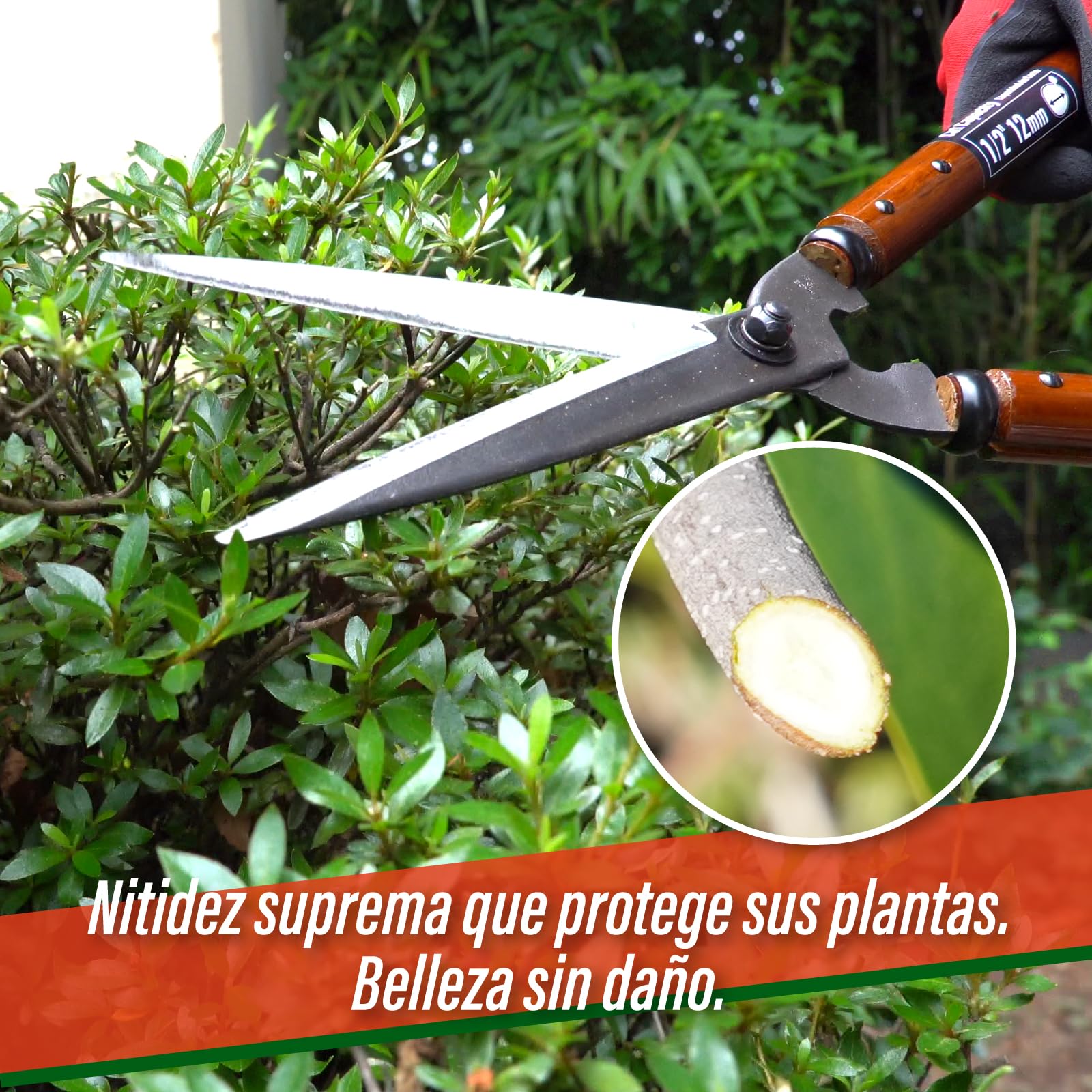 SUIZAN Tijera cortasetos 575mm - Cizallas para setos japonesas profesionales recorte preciso Herramientas de jardinería
