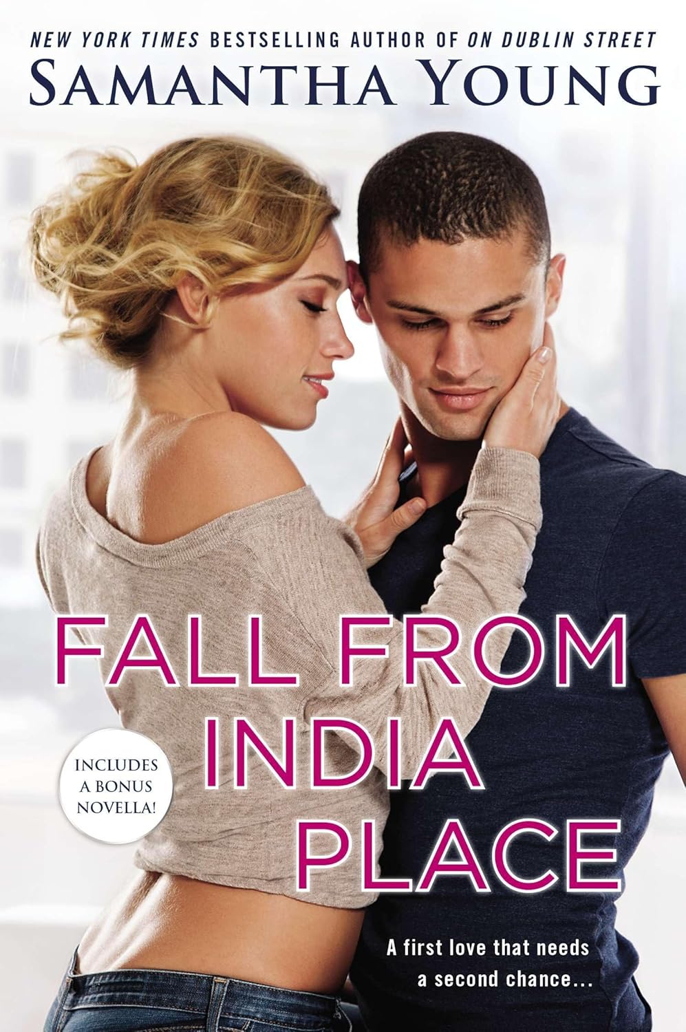 Fall From India Place (On Dublin Street Book 4)