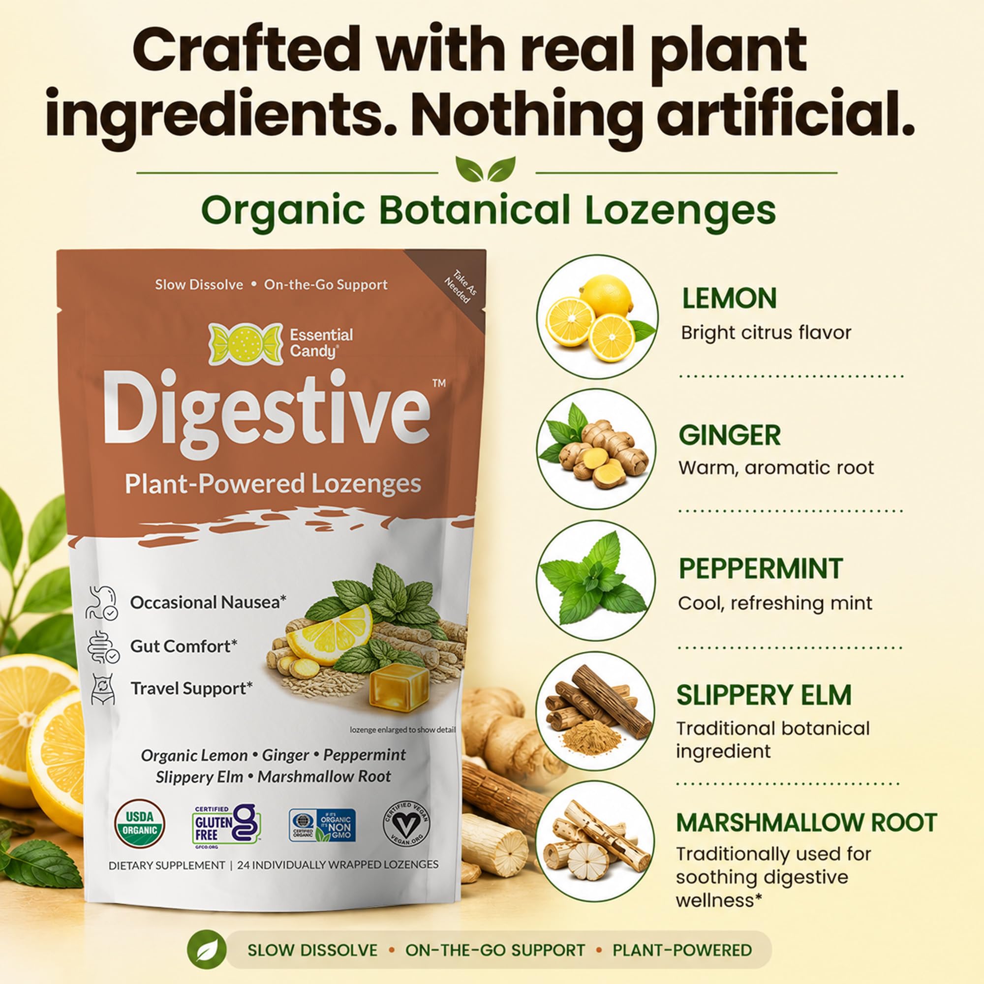 Essential Candy Digestive Blend Functional Lemon Ginger Lozenges for Nausea, Stomach Settle Support & Travel Sickness with Peppermint & Slippery Elm Plant-Based Lozenges 24 Ct. Made in USA — Amazon image 5