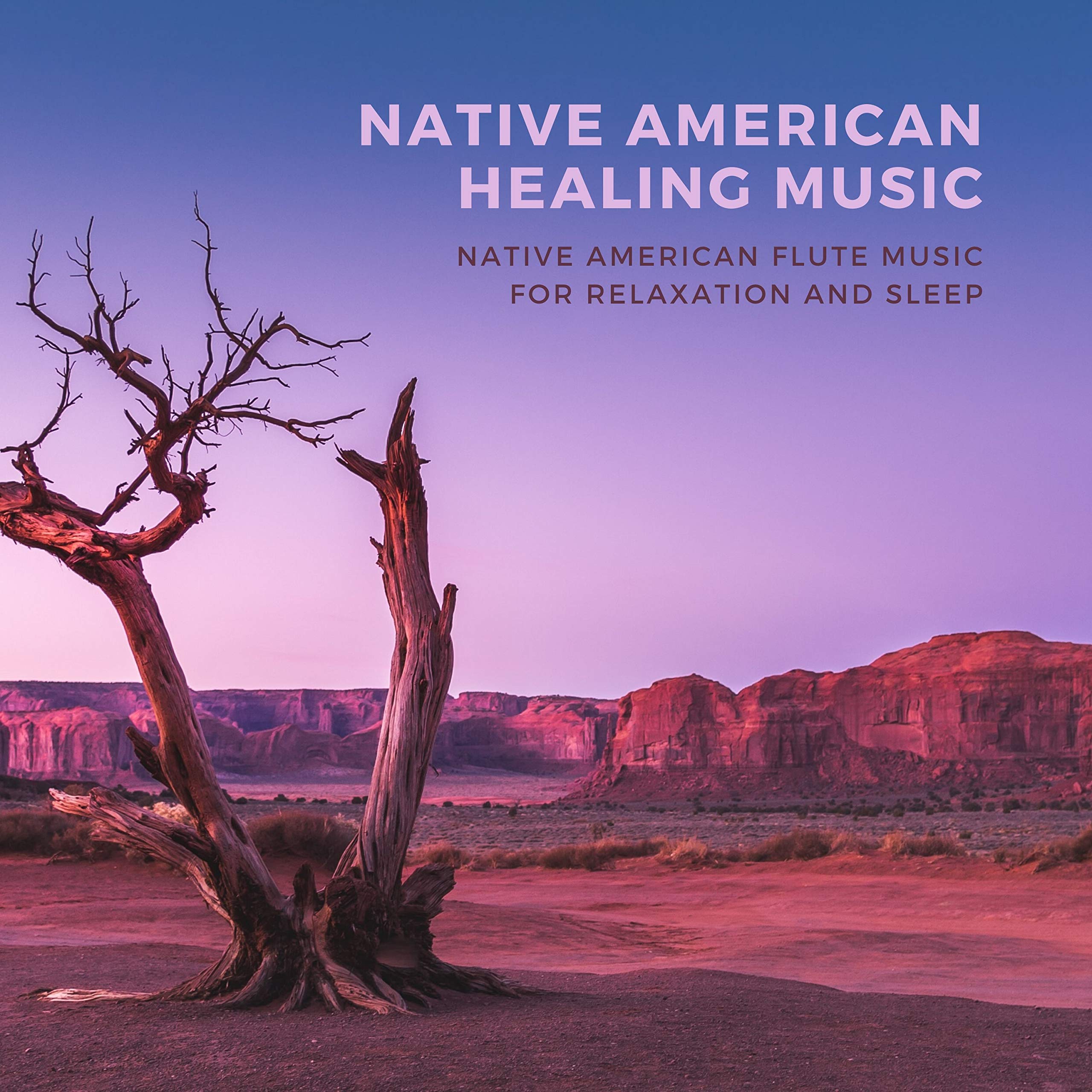Native American Healing Tribe
