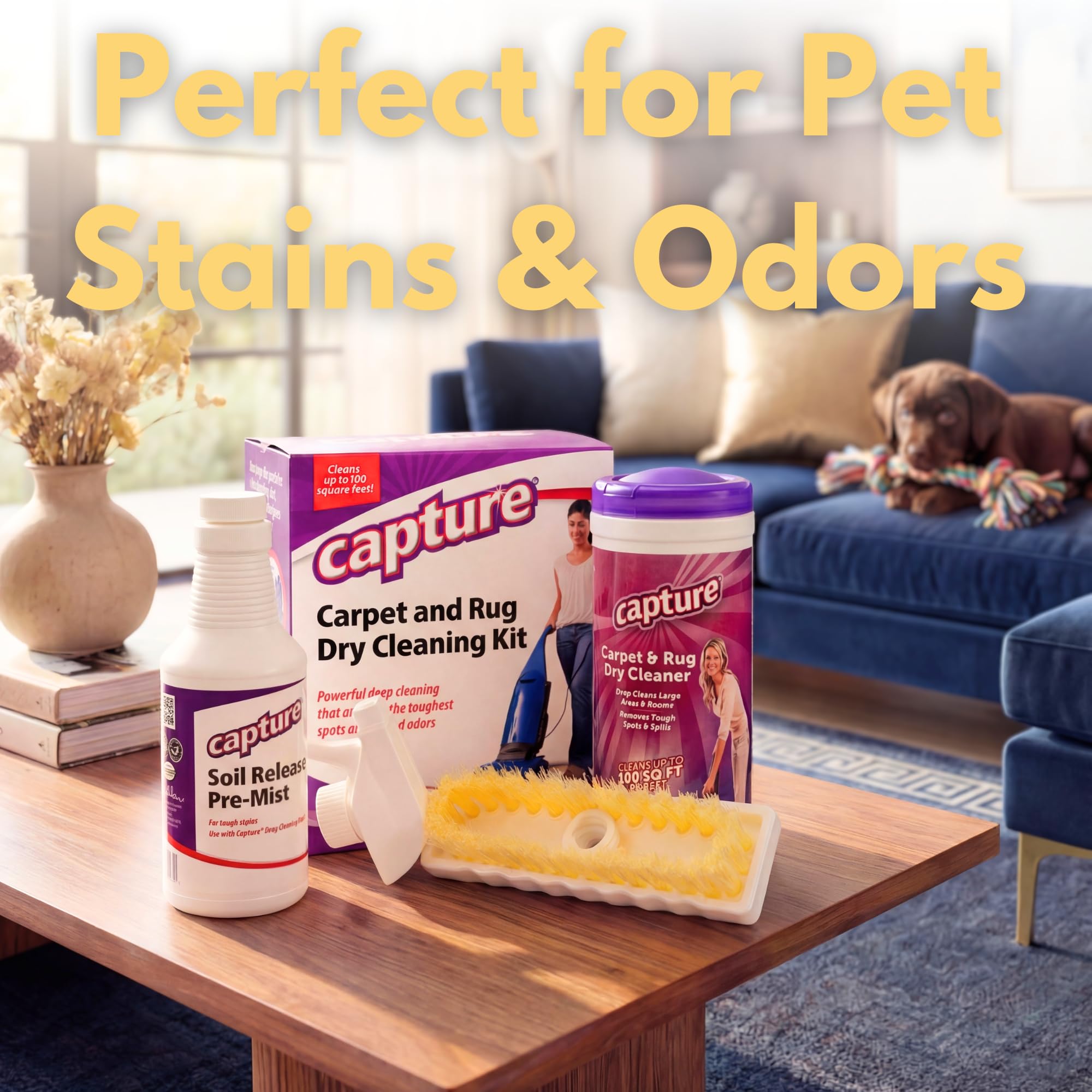 Capture Carpet Total Care Kit 100 - Home Couch and Upholstery, Car Rug, Dogs & Cats Pet Carpet Cleaner Solution - Strength Odor Eliminator, Stains Spot Remover, Non Liquid & No Harsh Chemical