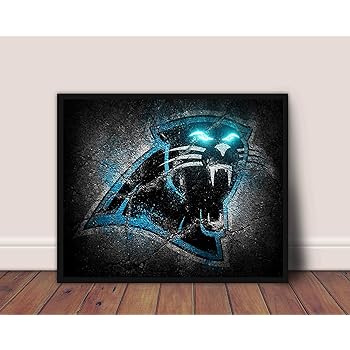 carolina panther merchandise