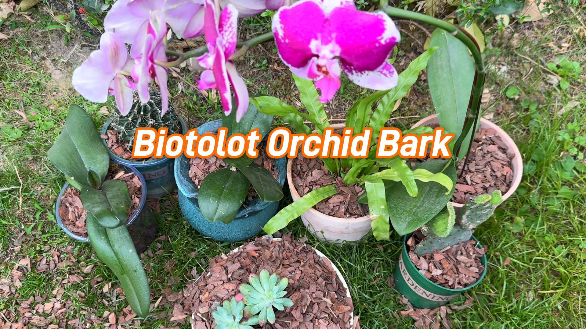 Amazon.com : 18qt Orchid Bark Horticultural Grade- Natural Mulch