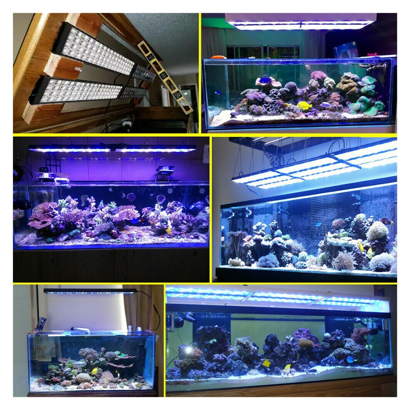 oświetlenie akwarium Lampa oświetleniowa LED do akwarium do 36 "3 stopy 80-100cm zbiornik do akwarium akwarium morskie Led rafy koralowej oświetlenie zbiornika LED do akwarium roślinnego(With arm kit)