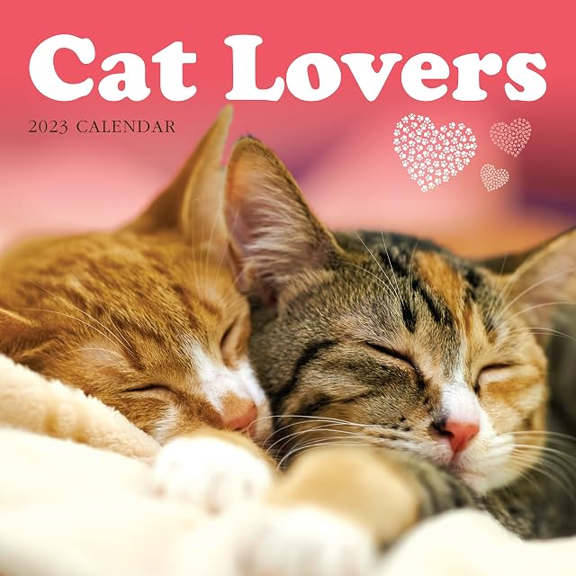 Cat Lovers 2023 Large Wall Calendar, by Fresh Publishing , Size 12in x 24in (Open), Thick & Sturdy Eco Friendly (FSC) Paper.