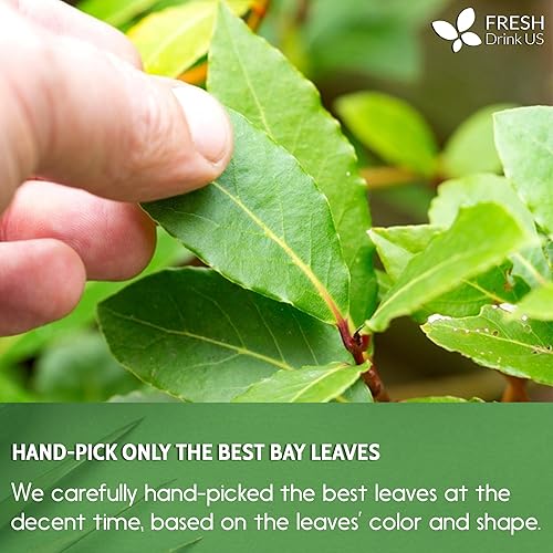 Miniatura 6 de FRESHDRINKUS Bolsas de té de hierbas, hojas de té de guanábana, hojas de guayaba, té de hoja de laurel, hoja de neem, té de hojas sueltas de