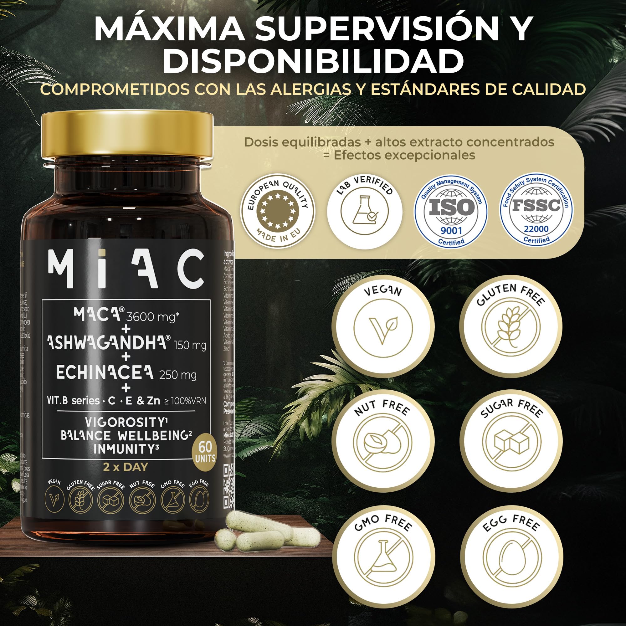 MIAC Maca + Ashwagandha Sensoril™ + Echinacea. Energía, Bienestar e Inmunidad con Vitaminas y Adaptógenos. 60 Cápsulas Veganas, Sin Gluten ni OGM