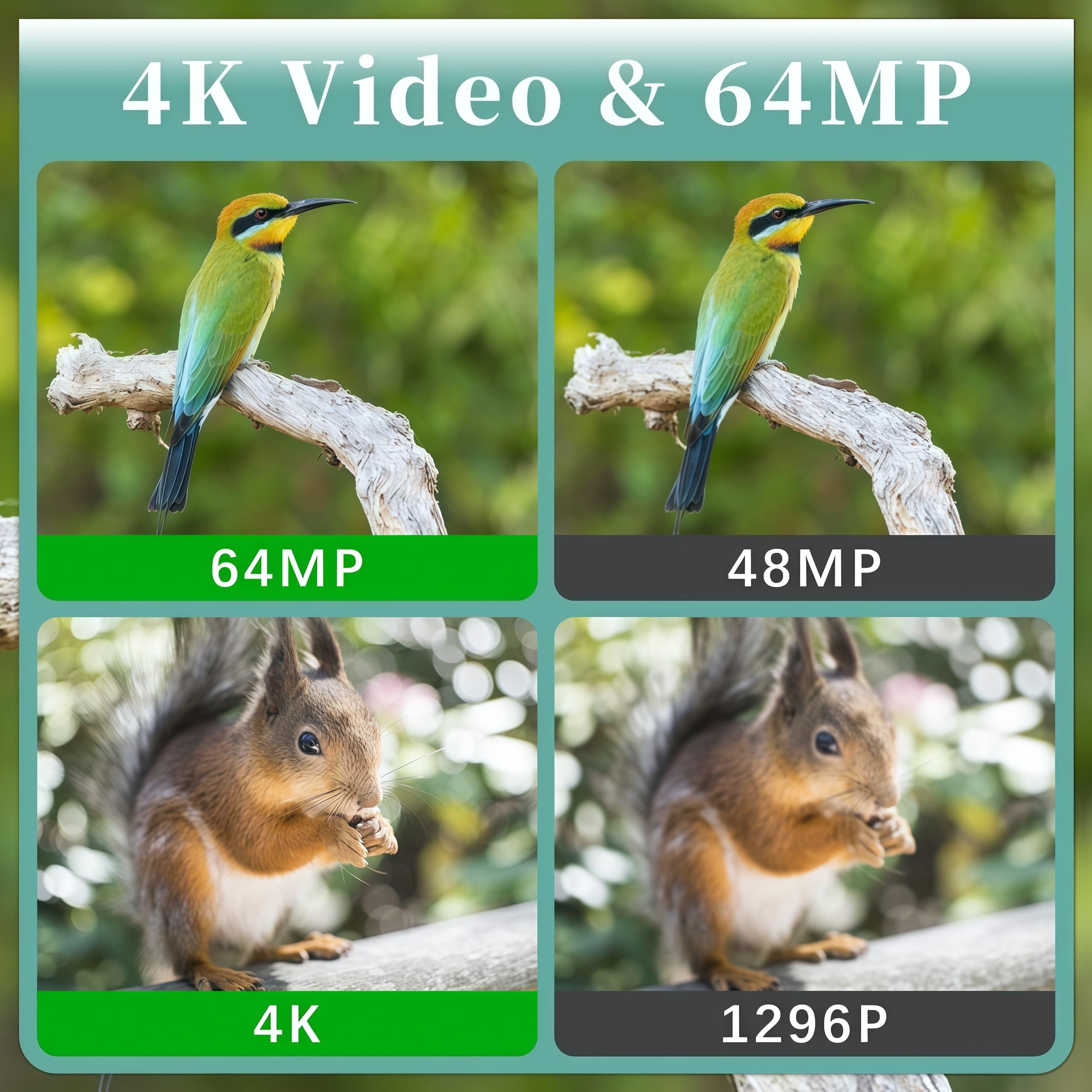 Wildkamera 64MP 4K Nachtsichtkamera mit WLAN & Bluetooth, Bewegungsmeldung für Jagd, Wald, Überwachung und Forschung, Video mit Tonaufnahme, Passwort Schutz, IP66 Wasserdicht, 120° Weitwinkel