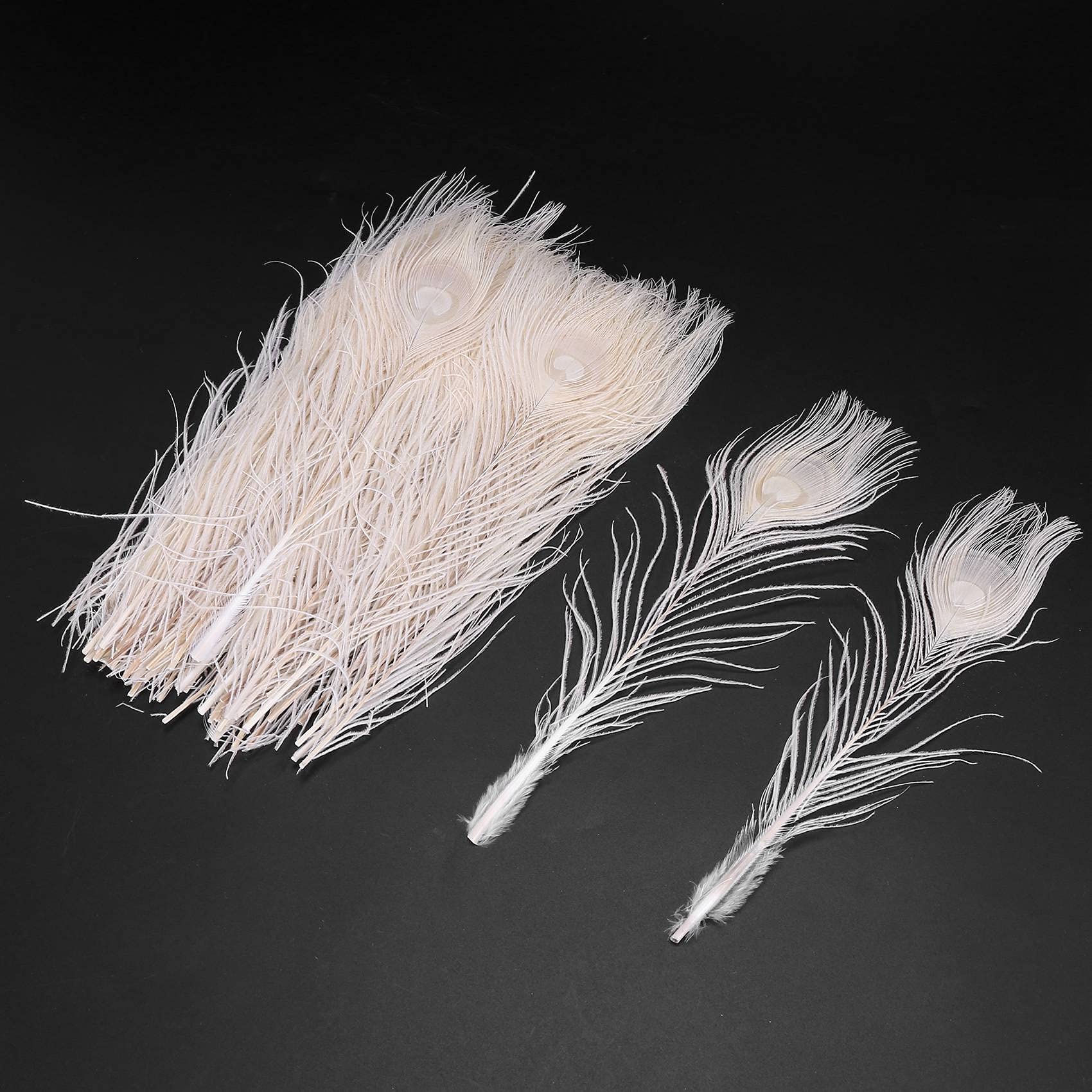 Vsadsau Lot de 20 plumes de paon blanches de 10 à 15 cm, véritables plumes de paon pour la fabrication de bijoux et les loisirs créatifs Blanc Vsadsau Lot de 20 plumes de paon blanches de 10 à 15 cm, véritables plumes de paon pour la fabrication de bijoux et les loisirs créatifs Blanc