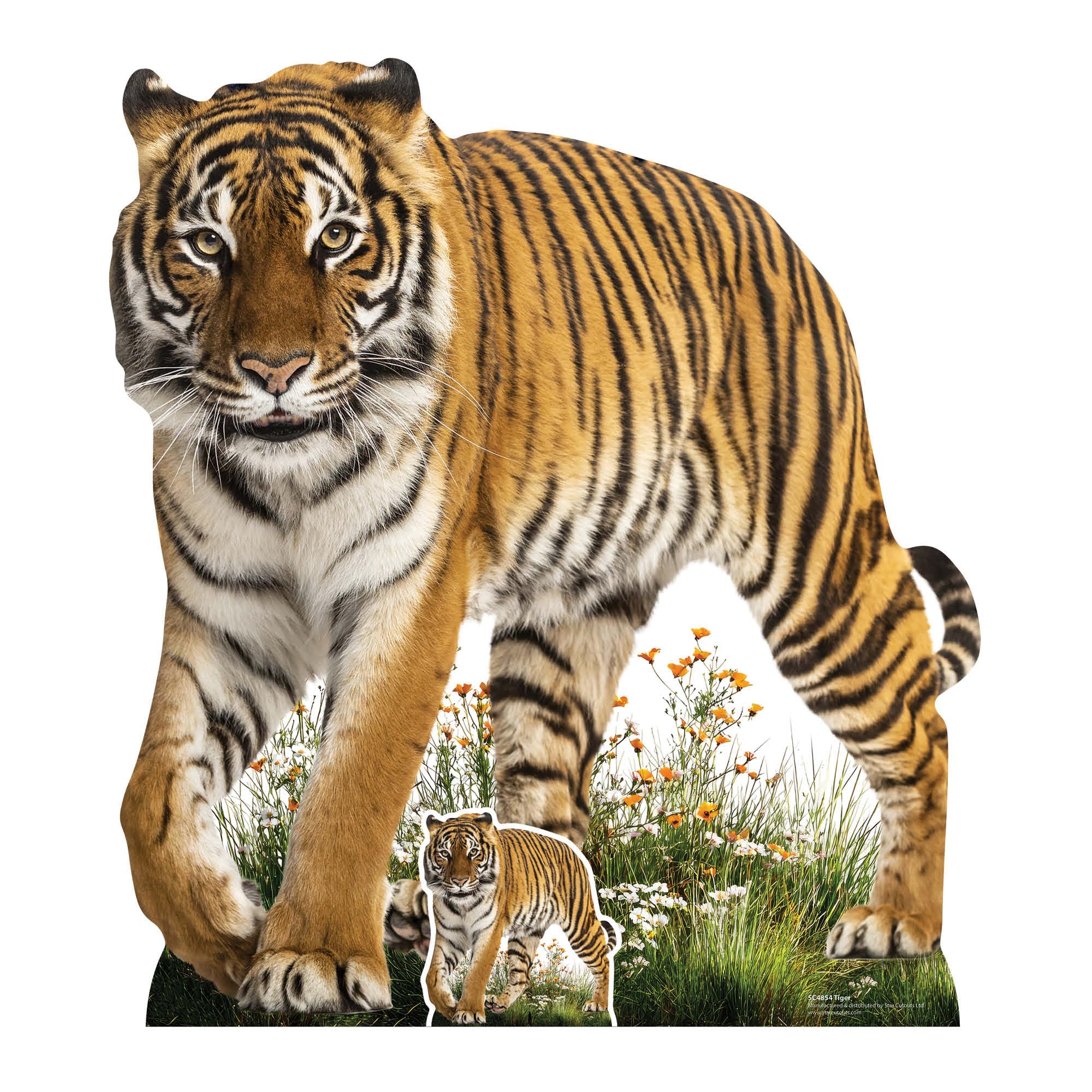 Star Cutouts SC4854 Wild Tiger Prowling Cardboard Cutout Height 93cm