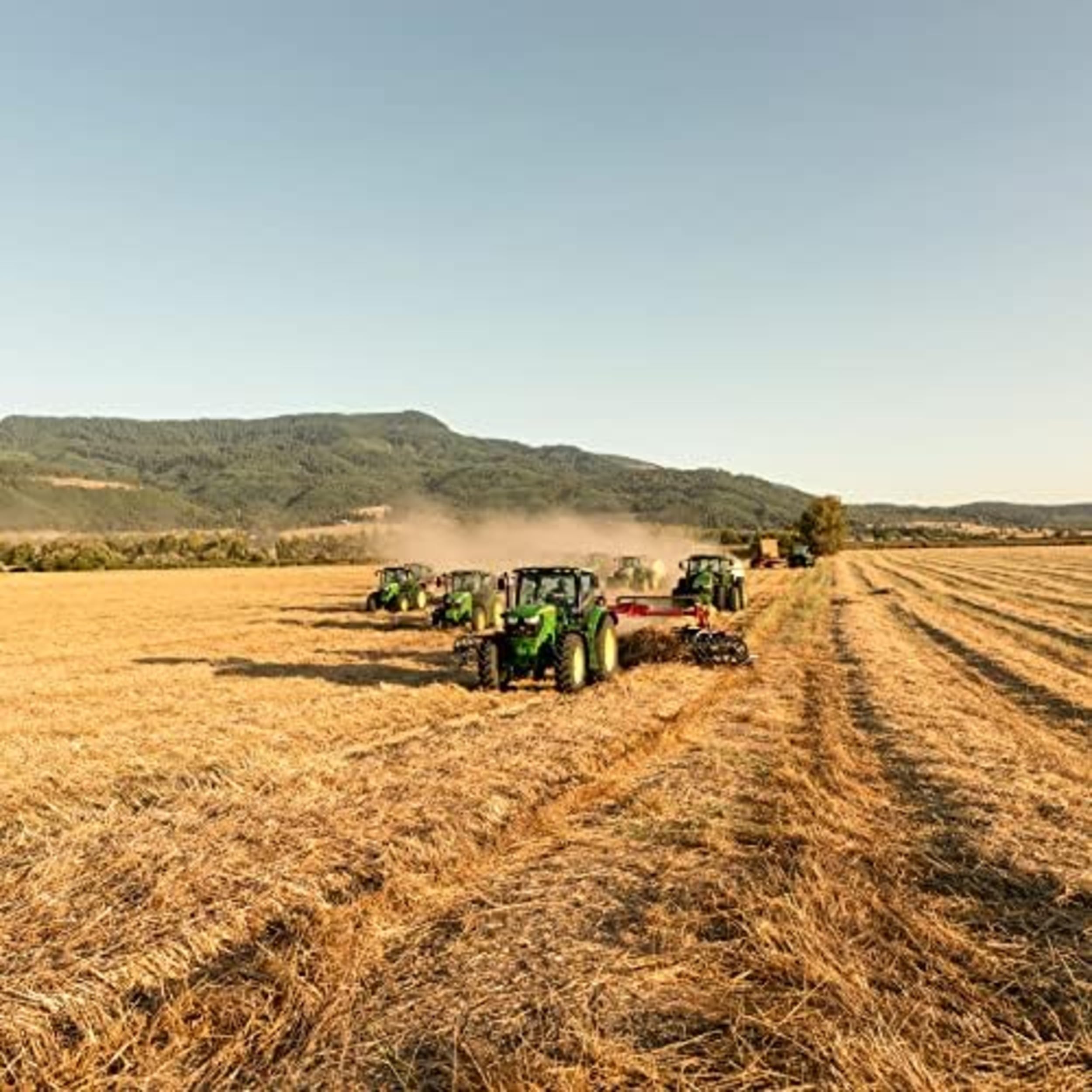 Blue Mountain Hay Fresh High Altitude 2nd Cutting Timothy Grass Hay (10 lb), Soft Leafy Easy Flake Forage High Fiber Balanced Nutrition Supports Digestion Optimal Weight Palatability Low Waste - image 8