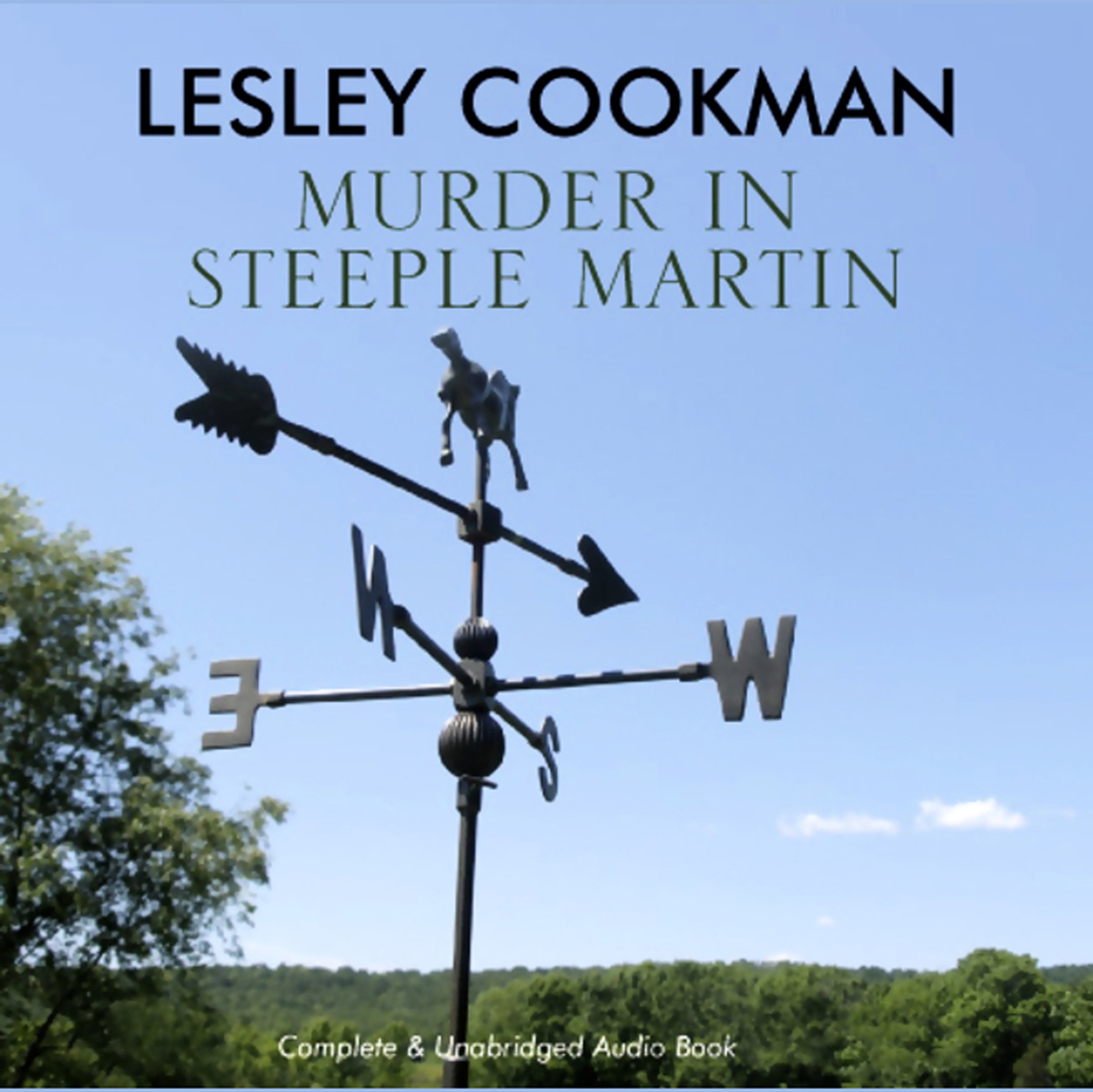 Cover art for Murder in Steeple Martin