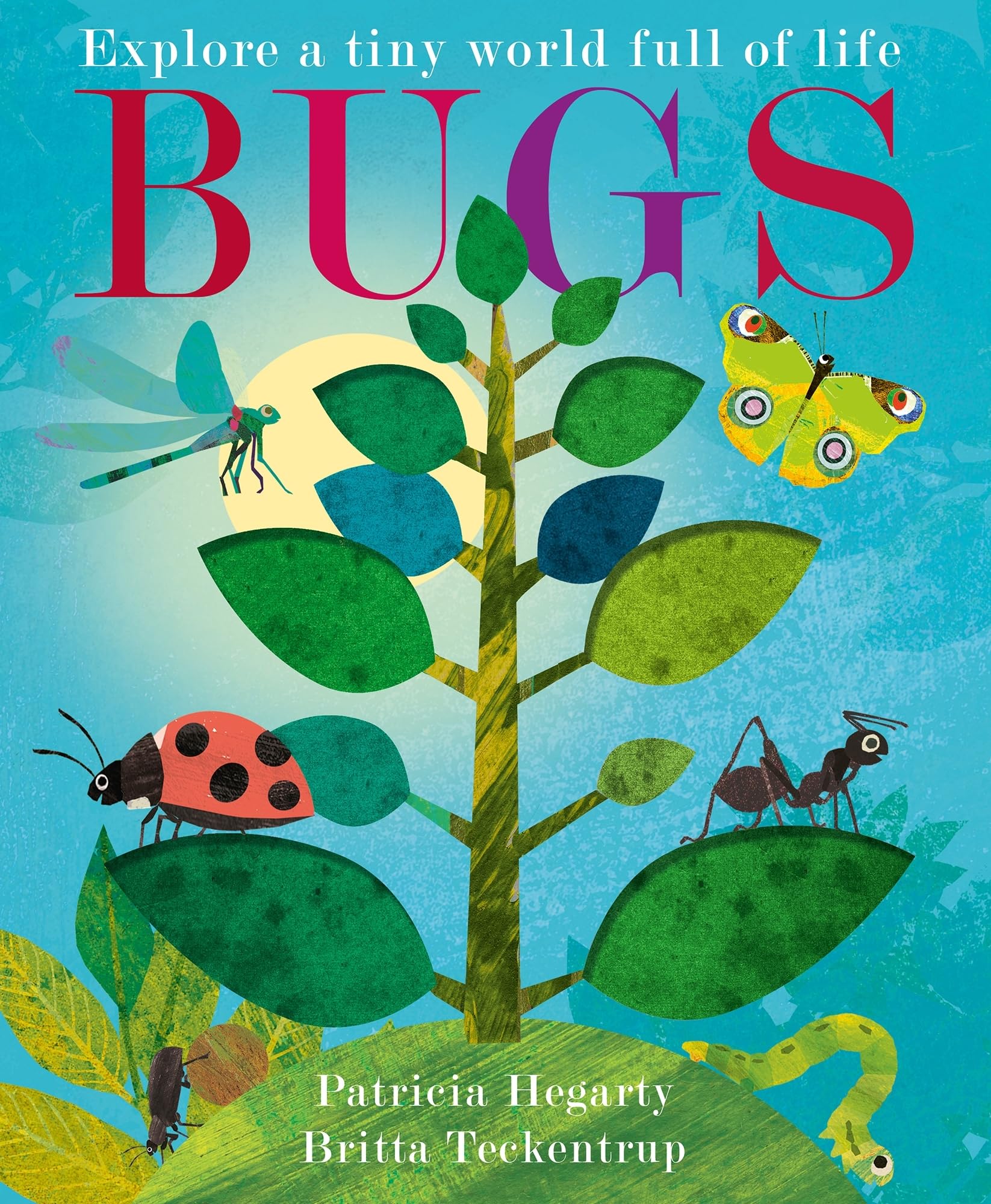 Bugs by Patricia Hegarty (Hardback Book)