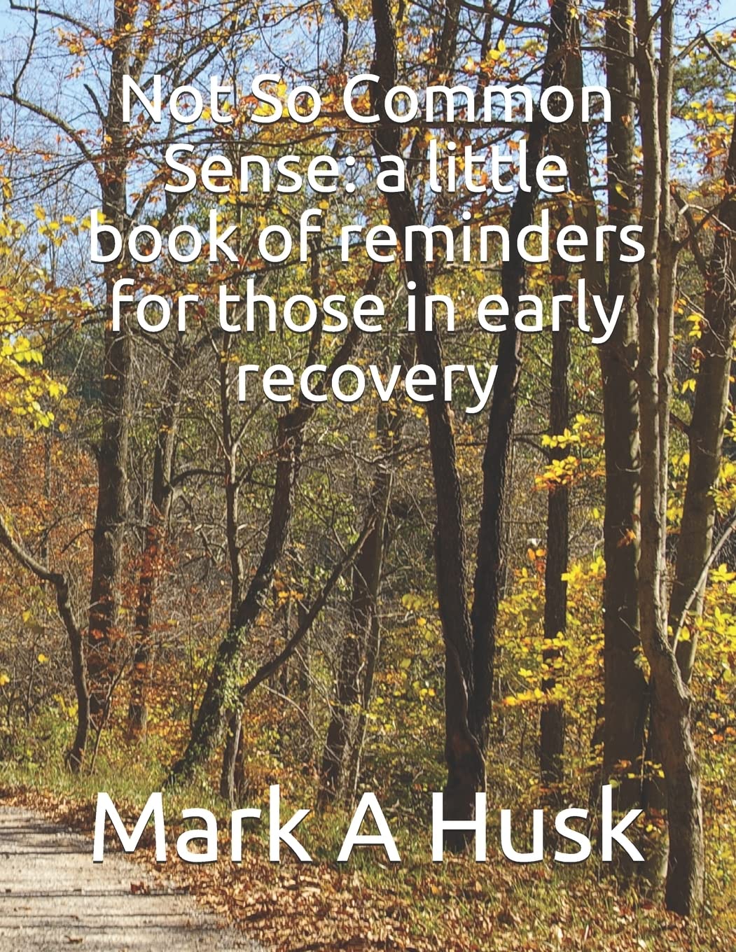 Not So Common Sense: a little book of reminders for those in early recovery