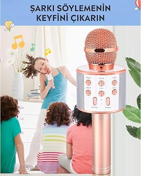 Babilden C-8501 Karaoke Mikrofon Bluetooth USB & TF & Aux (Rosegold)