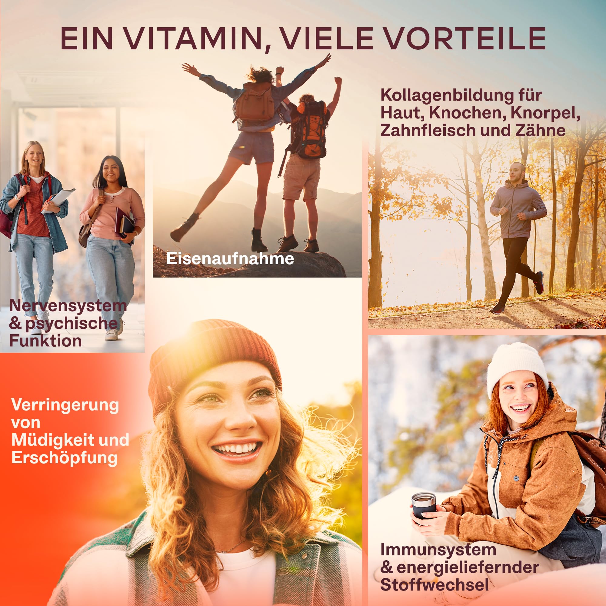 Vitamin C Hochdosiert Vegan - Acerola Vitamin C 1000mg pro Tagesdosis (2 Kapseln) mit Hagebutten, und Zitrus-Bioflavonoiden aus Orangenfrucht Extrakt - 180 Natürliches Vitamin C Kapseln