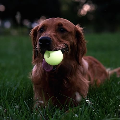 Miniatura 3 de Harry Barker Bolas de goma y palo de goma para masticar, hueso de goma para perros, bolas brillantes de 2.5 pulgadas