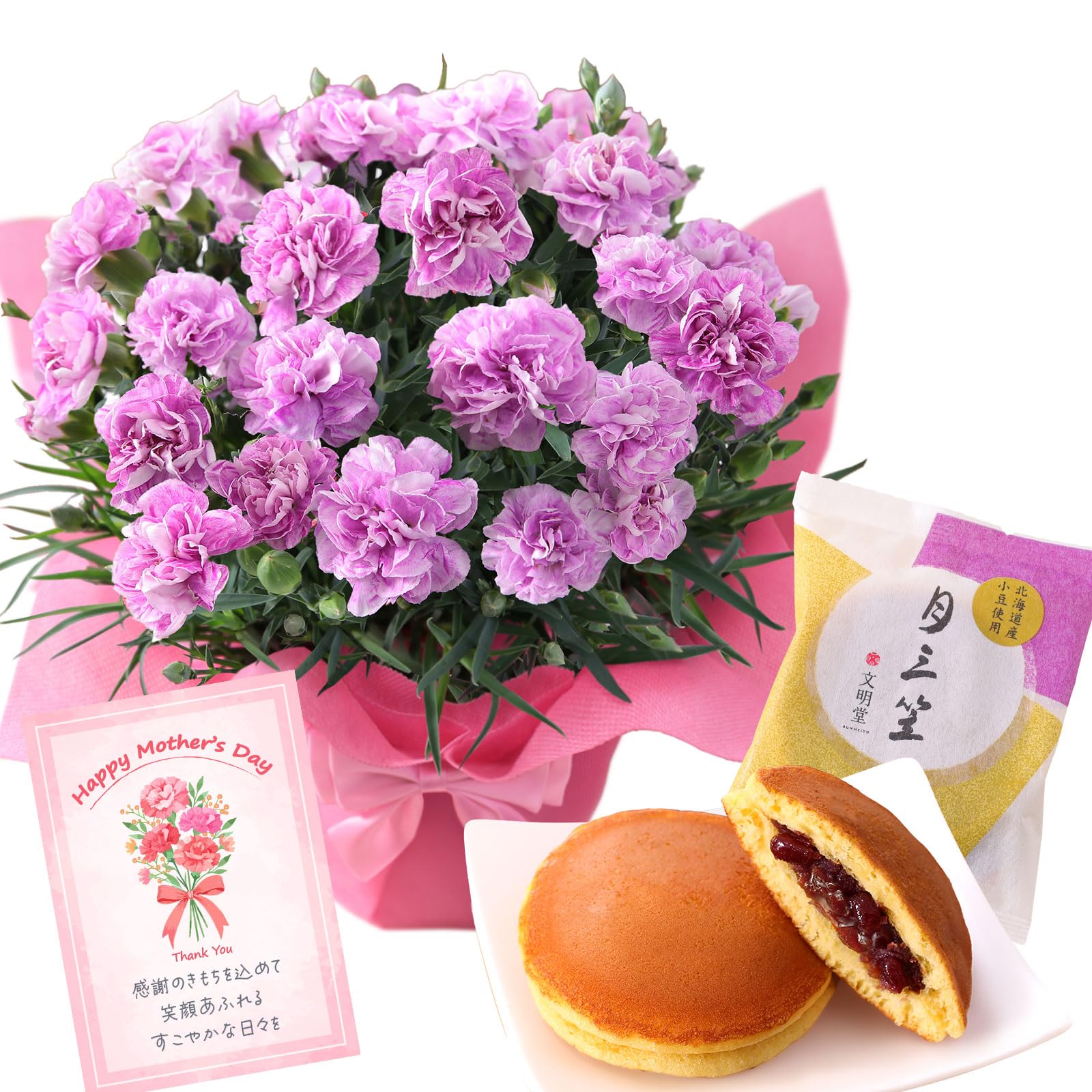 Amazon｜母の日 花 鉢植え 花鉢 ギフト プレゼント カーネーション鉢5
