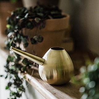 Crocus Collection 10cm Metal Watering Can Ornate Brushed Brass Long Spou...