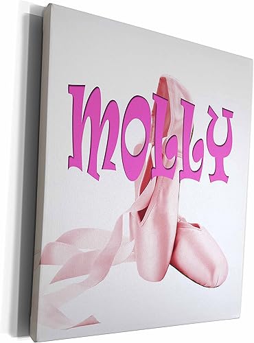 3dRose RinaPiro Kids - Molly. Pink Ballet Shoes. - Museum Grade Canvas Wrap (cw_272780)