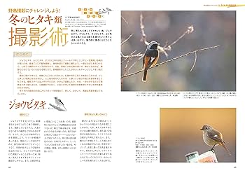 ジョウビタキ・ルリビタキ・オジロビタキ (BIRDERスペシャル