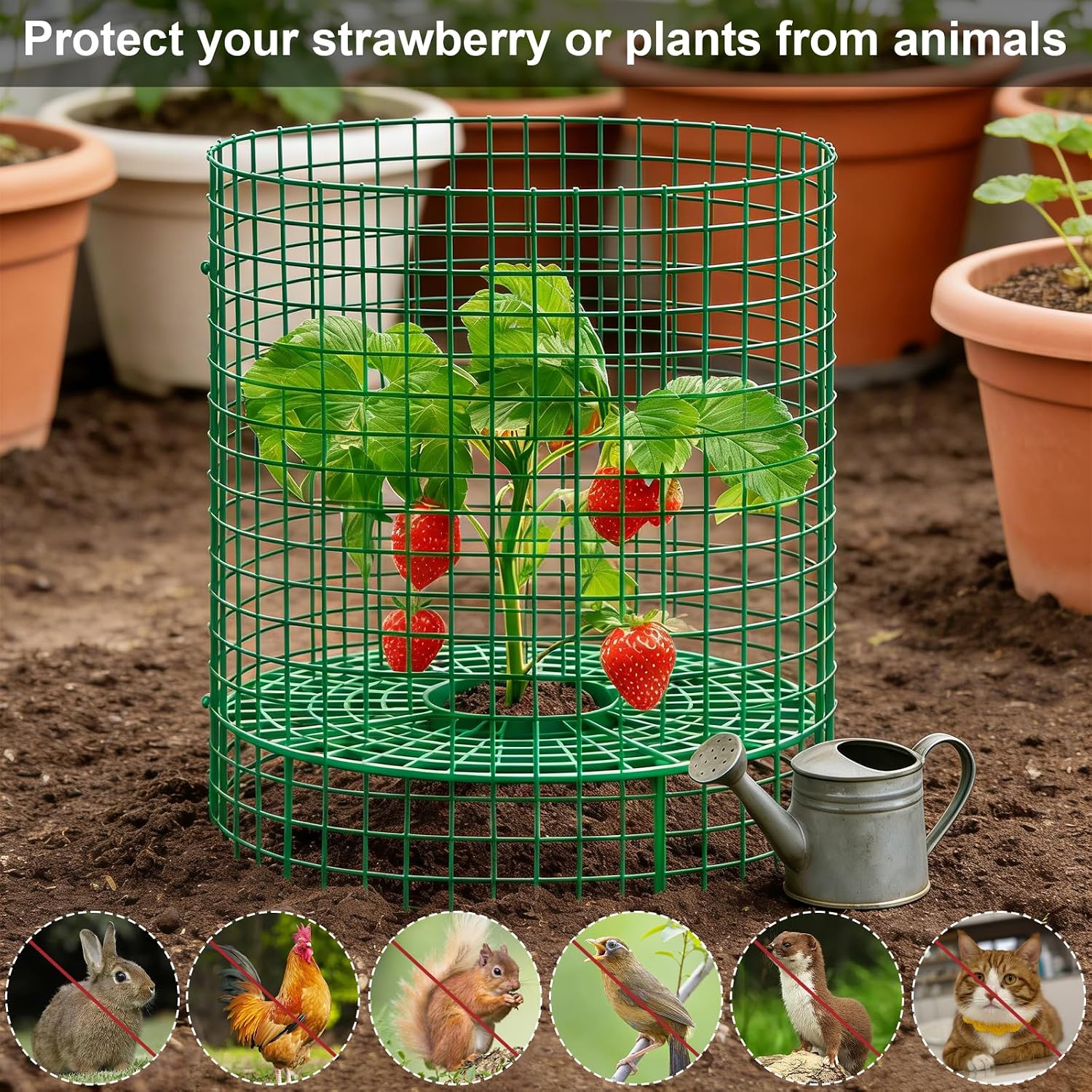 5 Sets Strawberry Plant Support with Wire Plant Protectors, 12.9"x 11.8" Wire Plant Cages and Strawberry Growing Racks, Animal Protection for Strawberry Tomato Garden Vegetables Plants