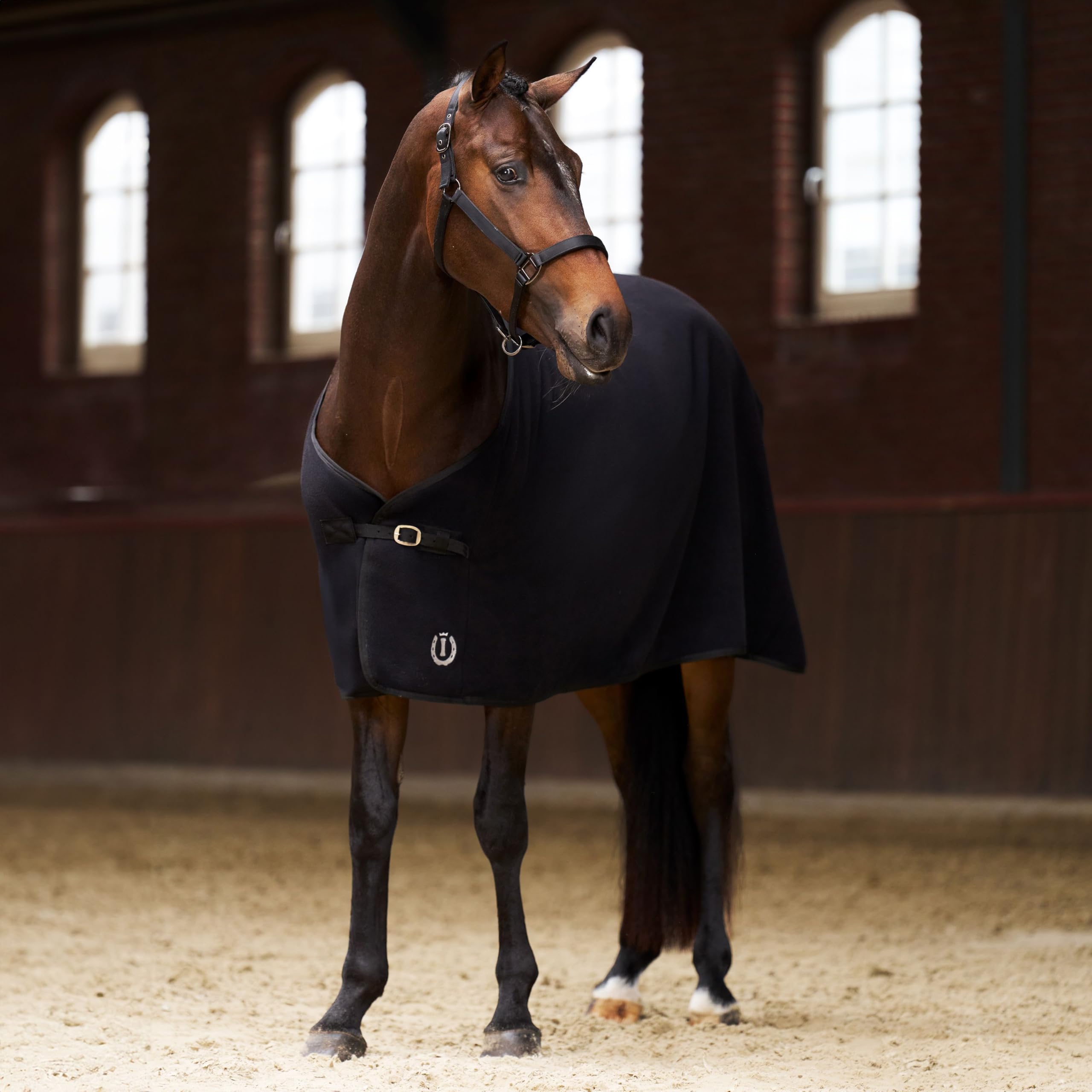 Imperial Riding IRH Fundamental Basic Abschwitzdecke, funktional & atmungsaktiv, schweißabsorbierendes Polar-Fleece Frontverschluss, schnell trocknende Fleecedecke für Pferde, Schwarz, 145