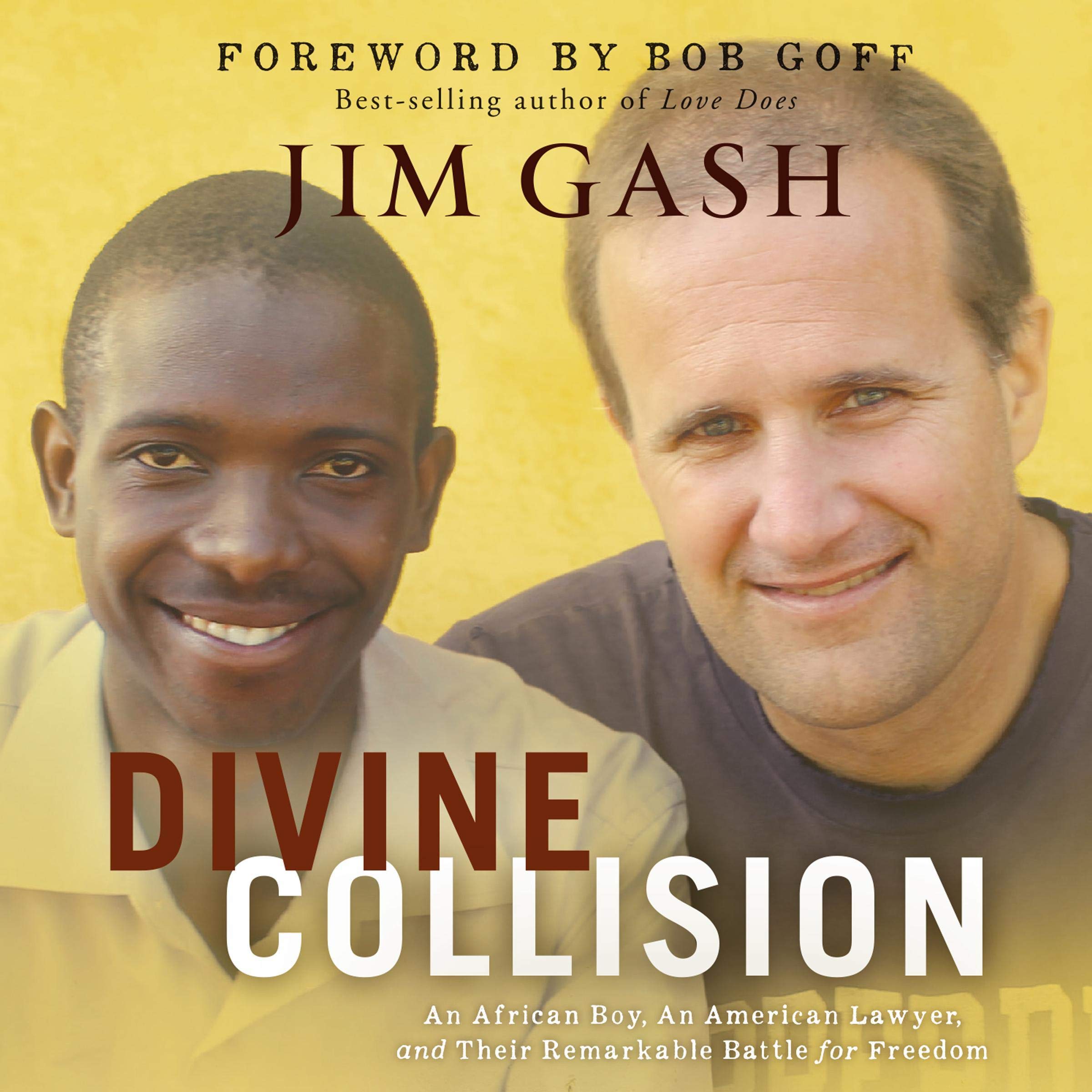 Cover art for Divine Collision