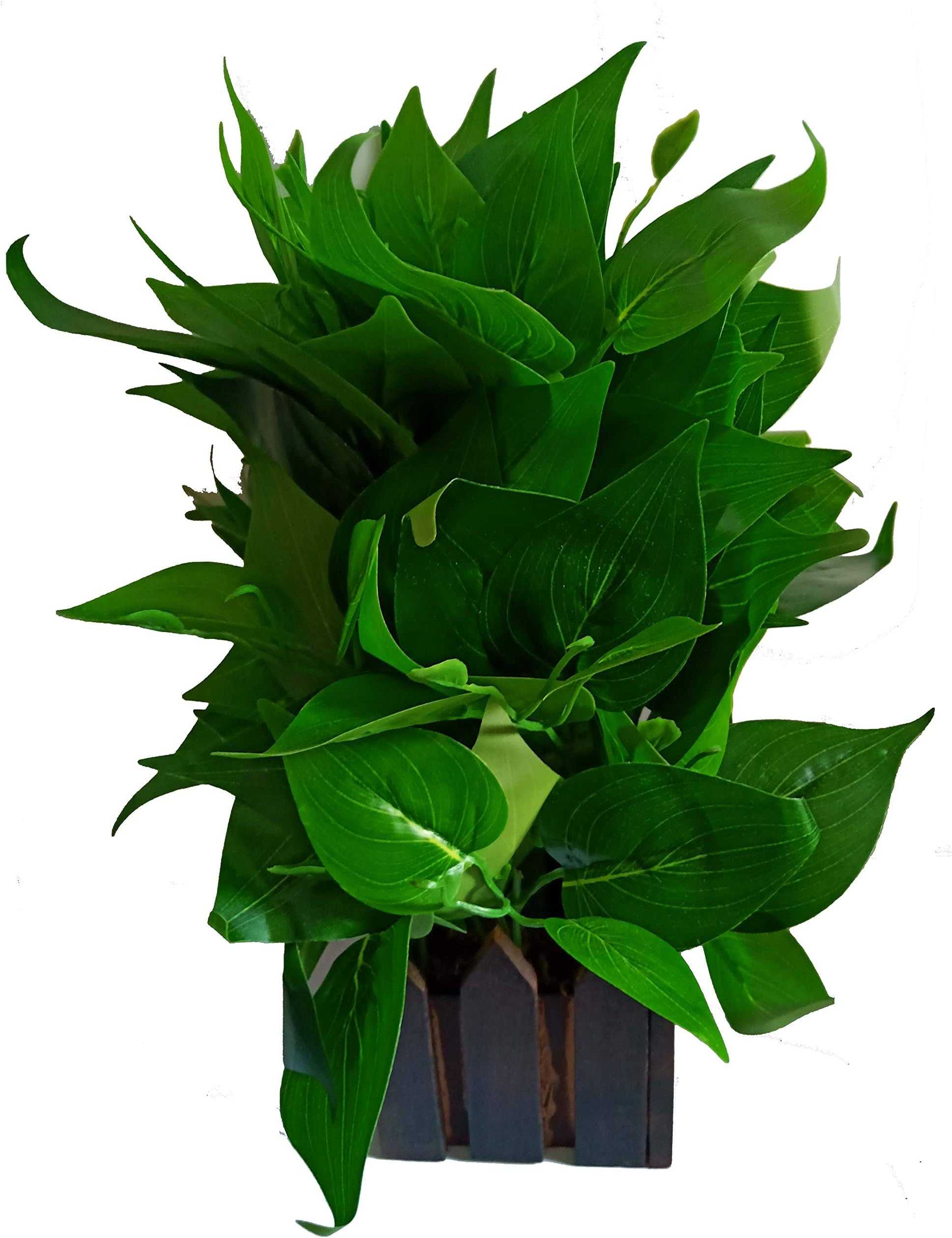 HYPERBOLES Artificial Green Money Plant Tree with Pot - 8 inch/20cm