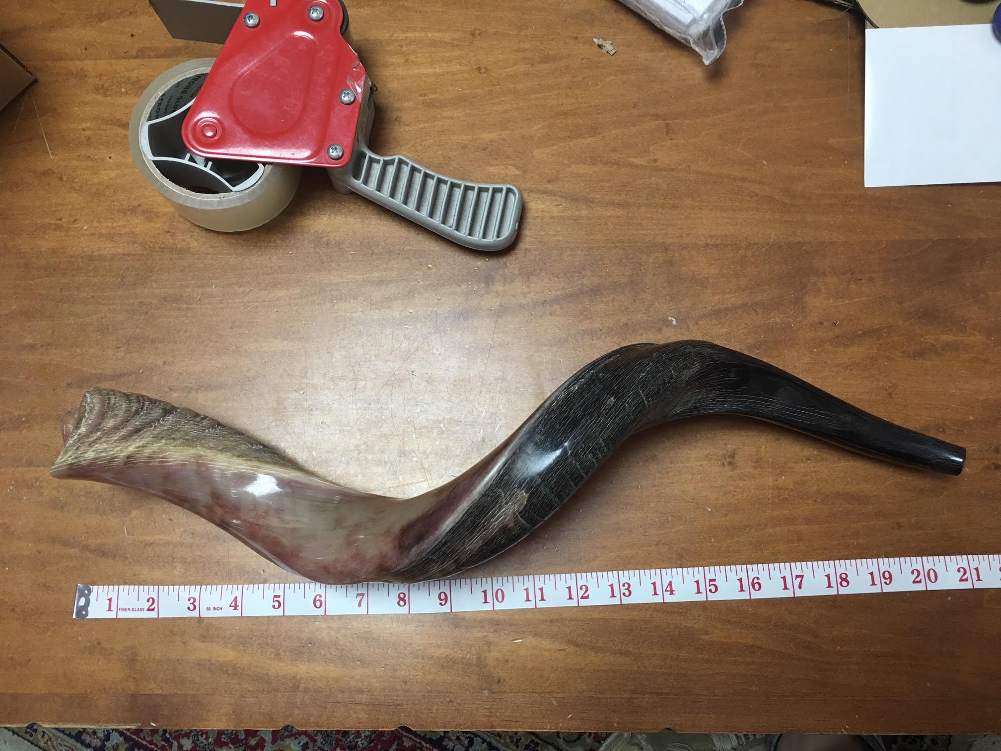 40,6 - 48,3 cm natürliches, authentisches Koscher-Yemenit Kuduhorn Schofar jüdisch – Israel