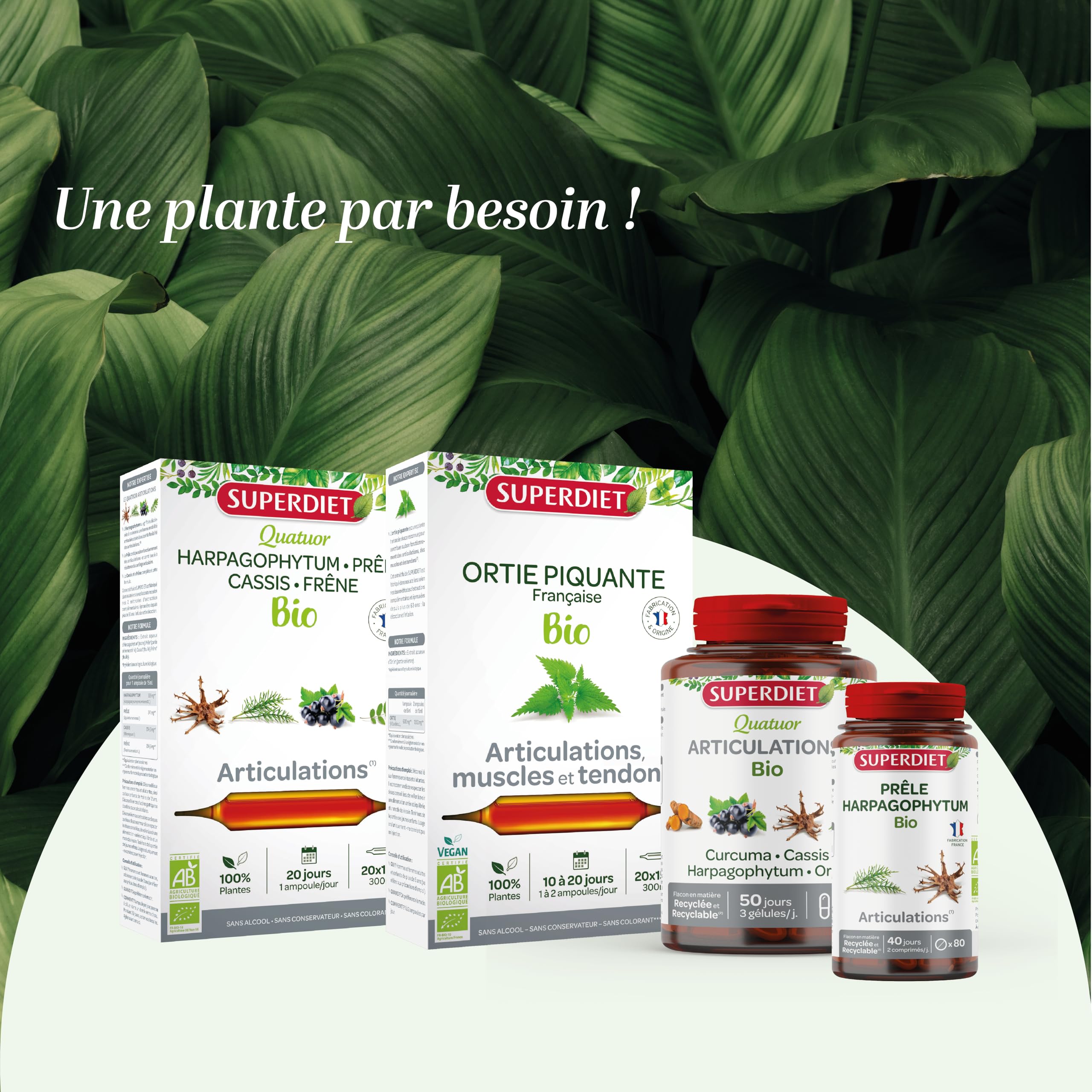 SUPERDIET - CURCUMA PIPÉRINE BIO - Articulations - Fabrication française - 120 gélules