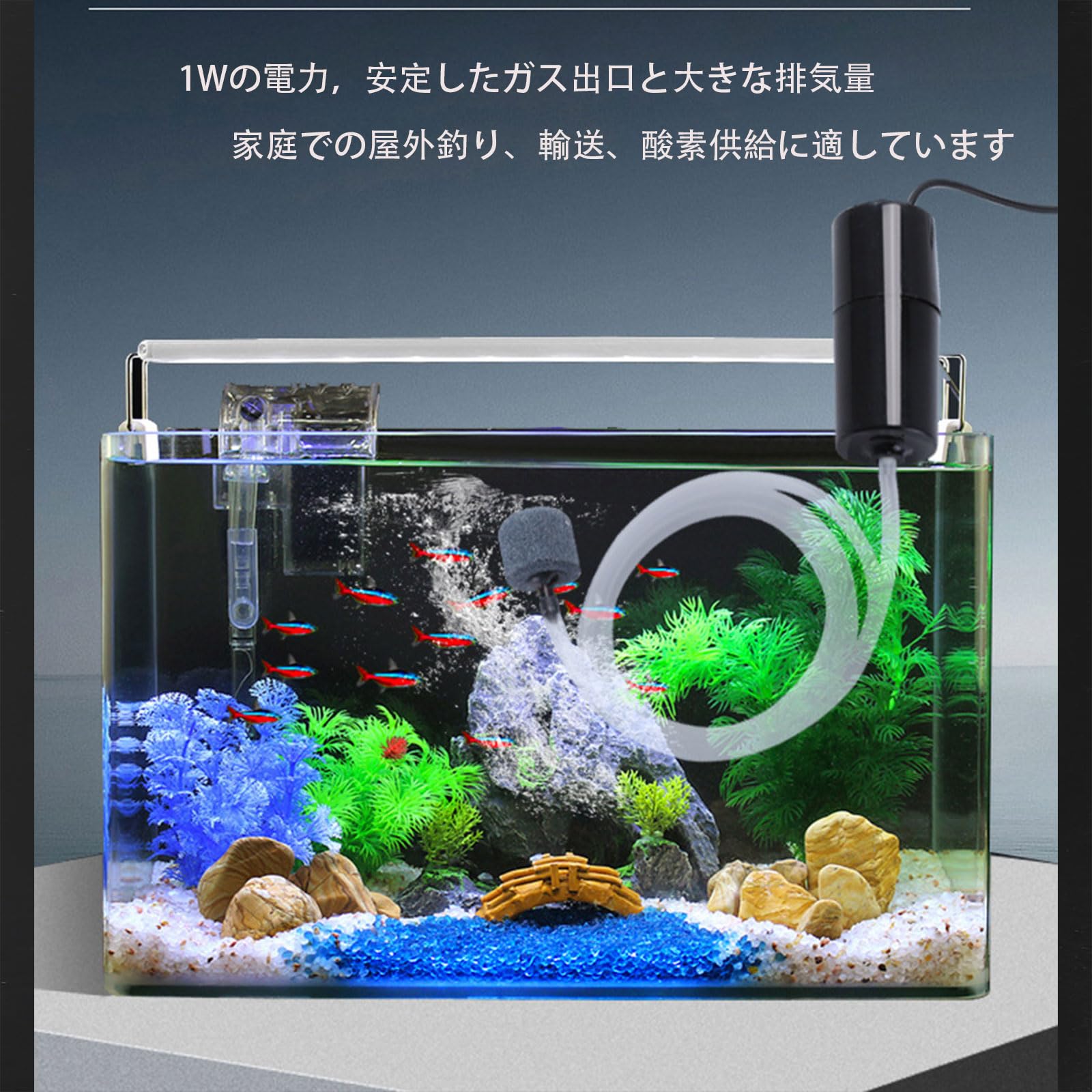 Amazon.co.jp: エアポンプ 水槽用，水槽用 USB水族館の酸素ポ 