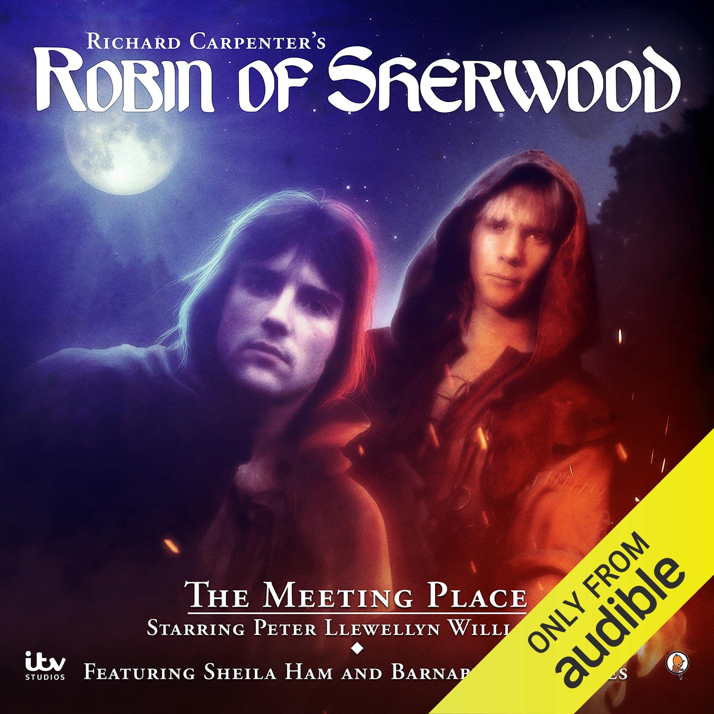 Cover art for Robin of Sherwood: The Meeting Place