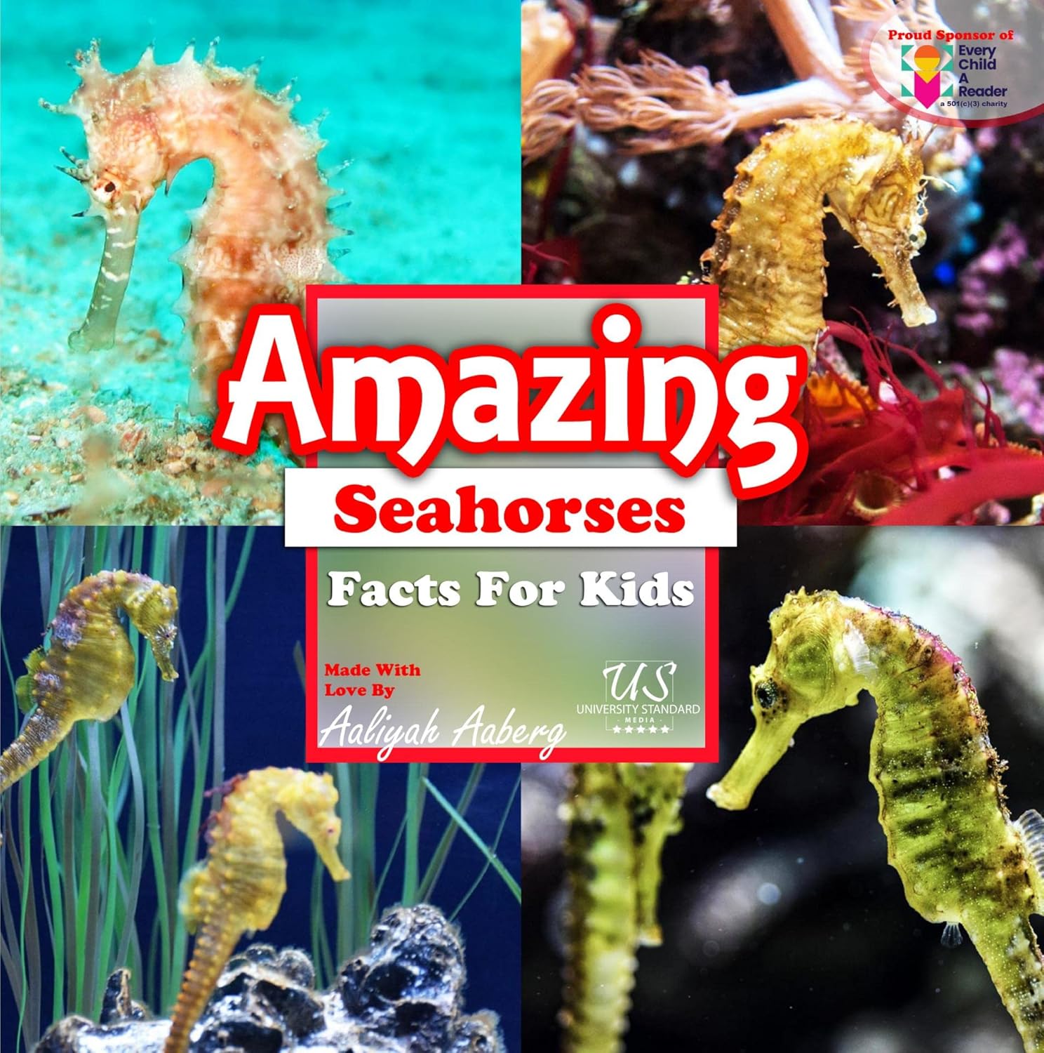 Amazing Red Seahorses: Facts For Kids (Amazing Animals) - Kindle ...