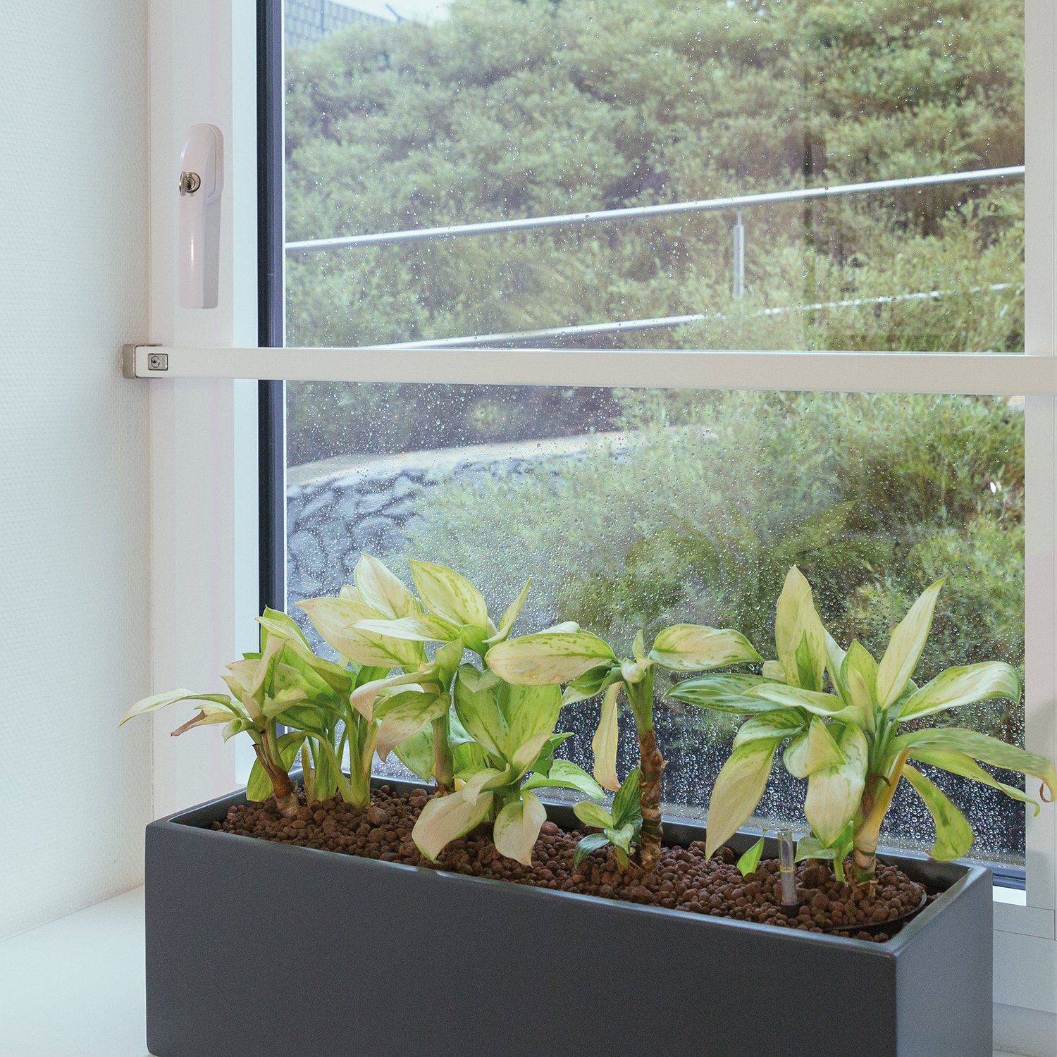 ABUS Fenster-Panzerriegel FPR217 sichtbarer Schutz gegen Einbrüche | stabiler Edelstahl-Riegel | 225 cm lang | abschließbar | AL0089 | weiß | 77194