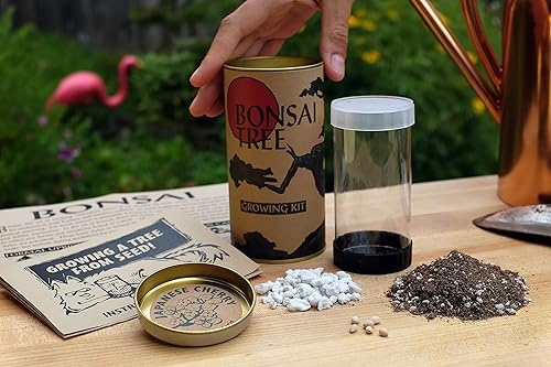 Miniatura 3 de Árbol bonsái | Cereza japonesa con flores | Kit de cultivo de semillas | The Jonsteen Company