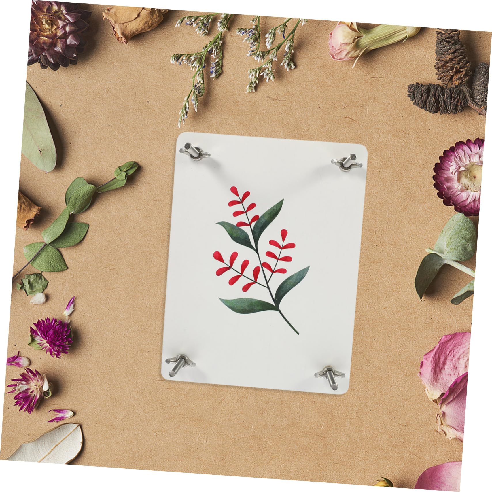 Parliky Blumenpressset für Blumen und Früchte Selbstgemacht Kreativset zum Pflanzenpressen für Scrapbooking und Kerzenherstellung Presswerkzeug für Pflanzen