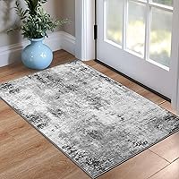 OmpaaHomeDecor 2x3 Grey Washable Entry Rug - Non-Slip Abstract Low Pile Indoor Door Mat for Kitchen, Bedroom, Front Door