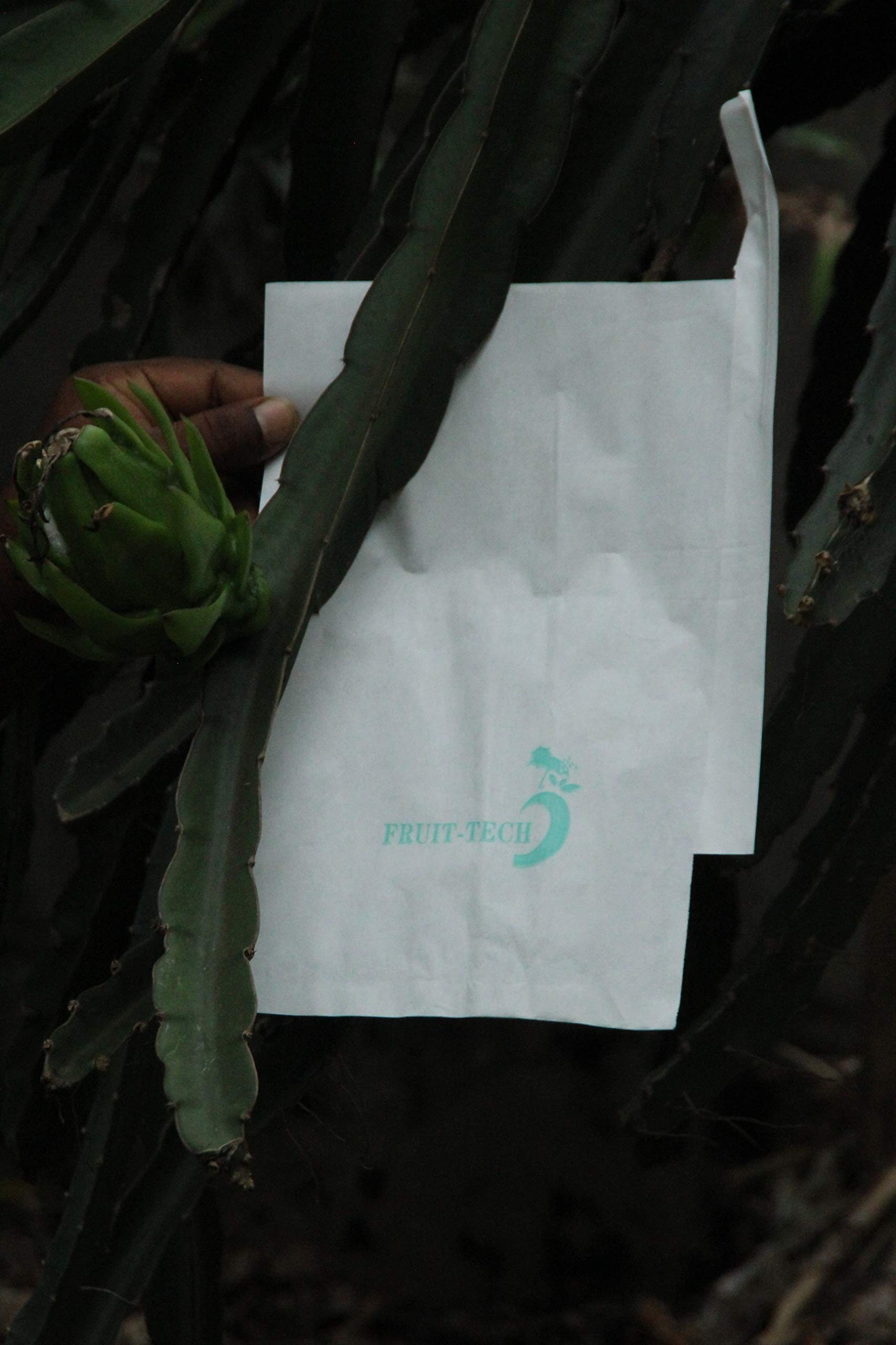 'Fruit TECH' Dragon Fruit Protection/Growth Covers and Bags 20x24CM (Pack of 100 Covers)-image-29