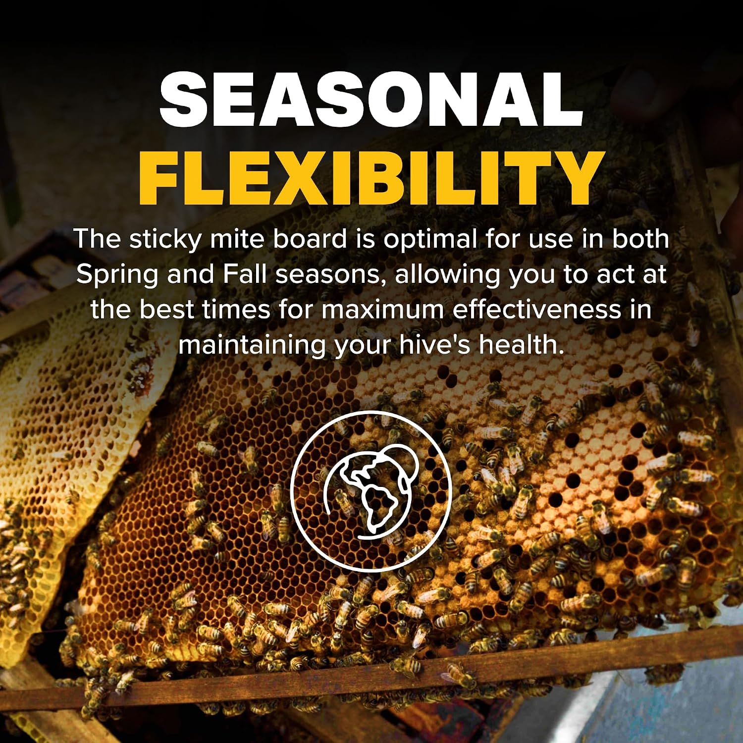 Mann Lake Mite Sticky Board, Precision Mite Monitoring for Hives, Results After 24 Hours, Chemical-Free Treatment Guidance, Seasonal Effectiveness, Beekeeping Essentials