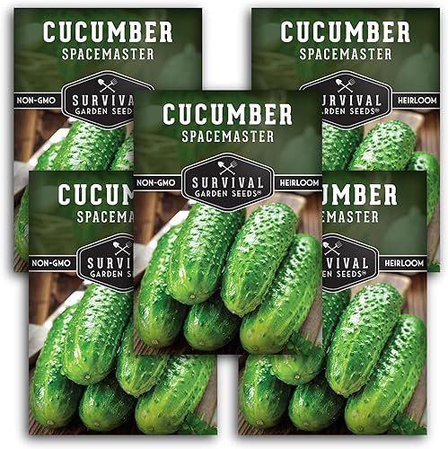Spacemaster - Paquete de 5 semillas de pepino para plantar, paquete con instrucciones para plantar pepinos aptos para contenedores en tu huerto