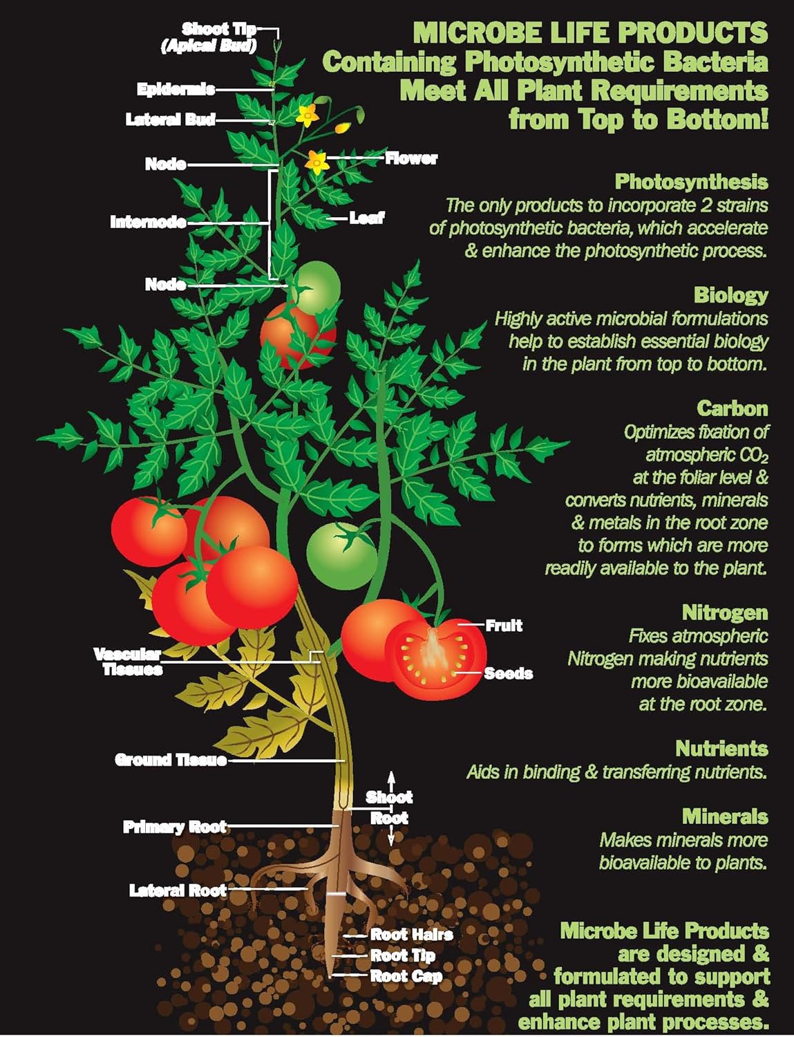 Microbe Life Hydroponics PH21227 Photosynthesis Plus Microbial Inoculant Fermented Microbial Product for Hydroponics Soil Conditioning and Aquaponics (32 Ounce)