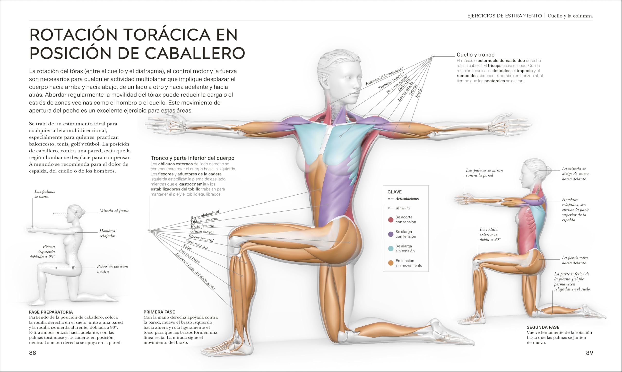 Estiramientos: Potencia tu flexibilidad, mantente activo y evita lesiones (Deportes DK)