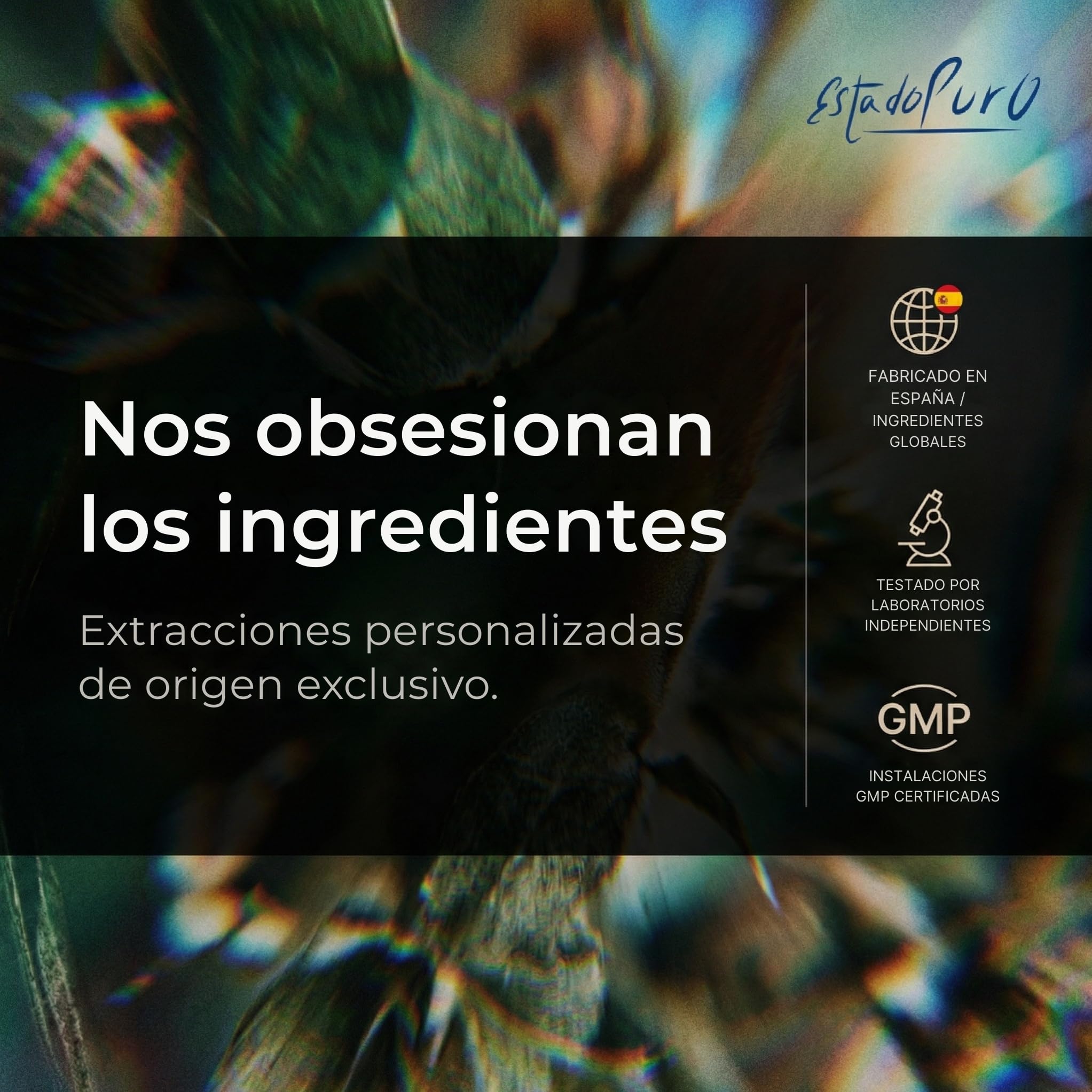 Ginseng Rojo Coreano Puro 1000mg | Panax Ginseng Máxima Concentración en Ginsenósidos | Energía Mental Vitalidad | Adaptógeno Natural | 50 Cápsulas Veganas Estado Puro